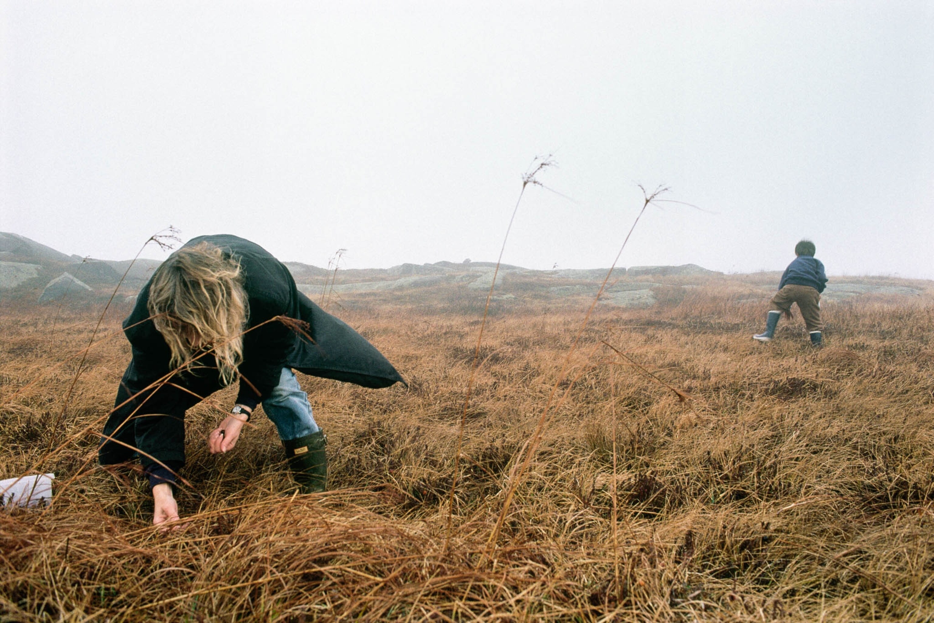 A woman and her son picking wild cranberries on an island off the coast of Maine