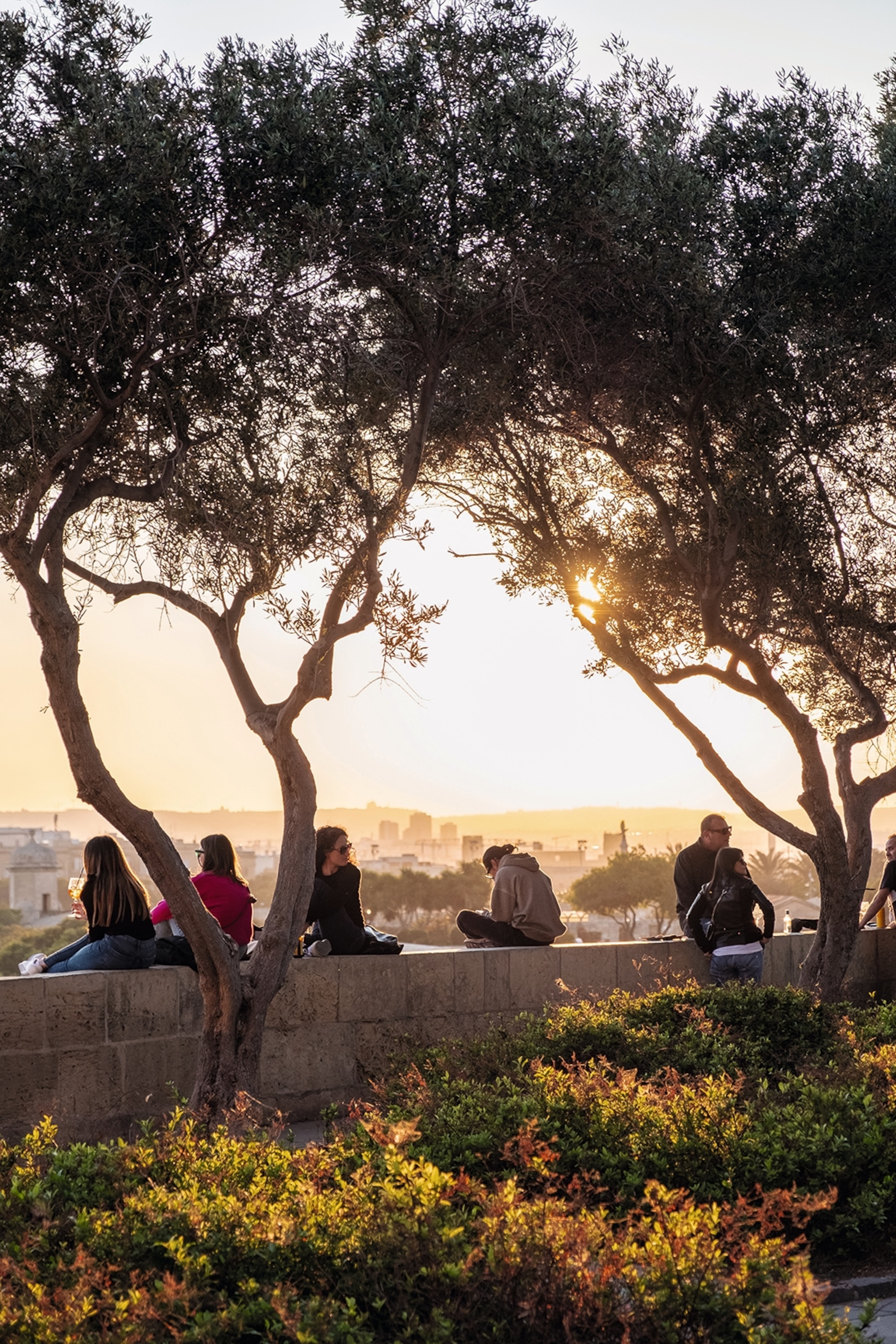 People sitting on an old limestone wall, lined by trees, watching the sunset.
