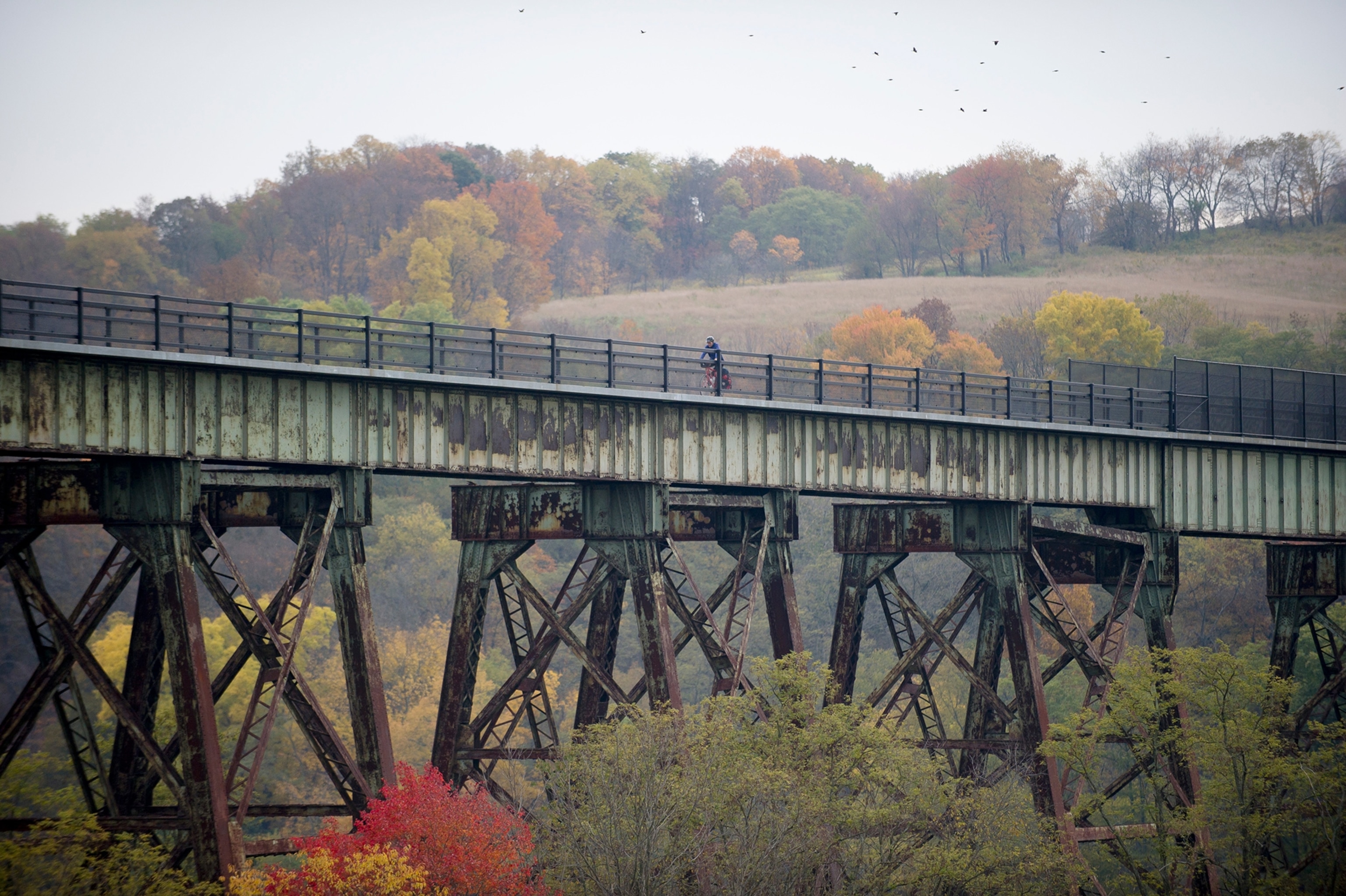 A person rides a bike across a bridge on the Great Allegheny Passage.