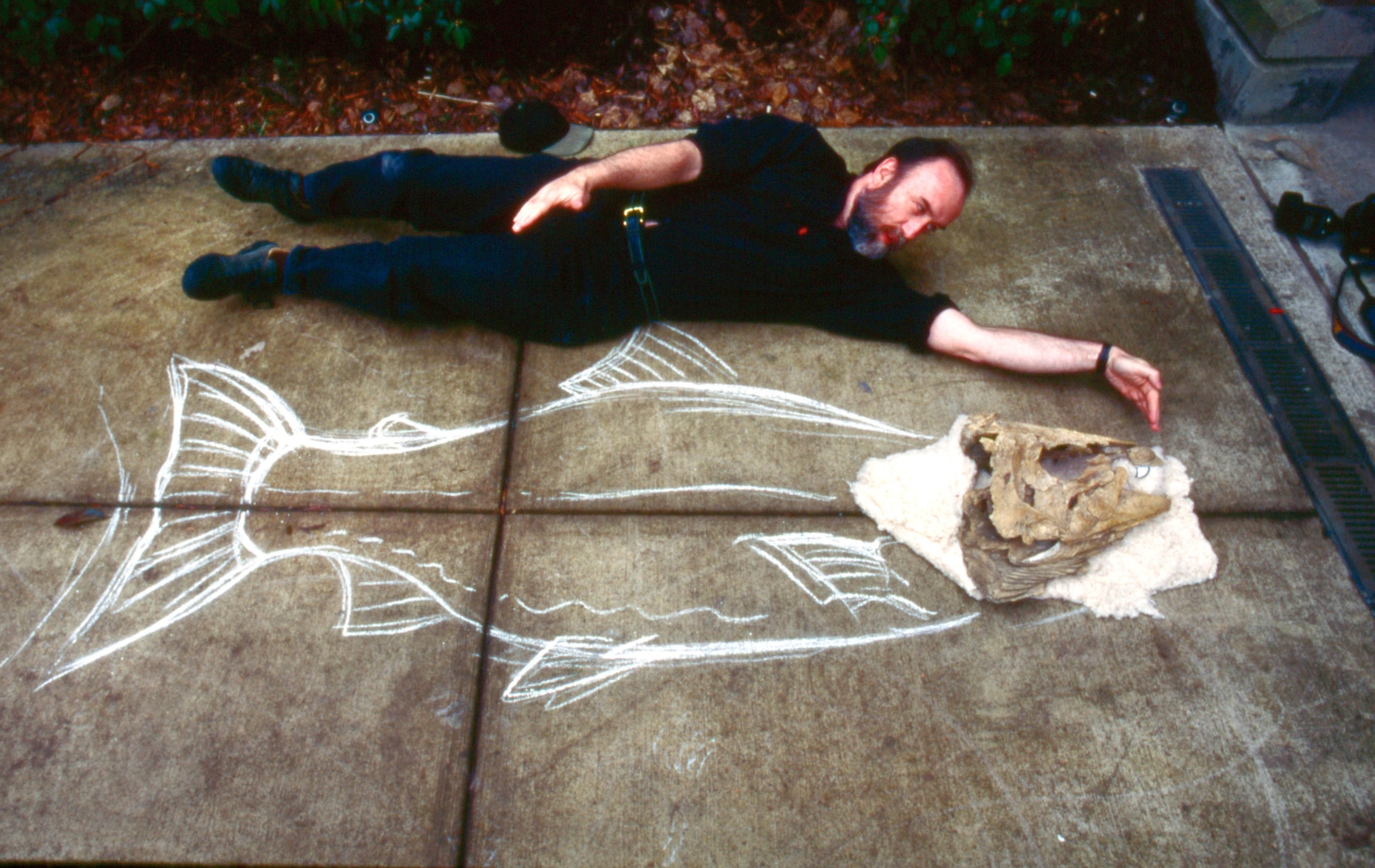 A man dressd in black lays next to a fossil and a drawn outline to show the comparable size of the fish.