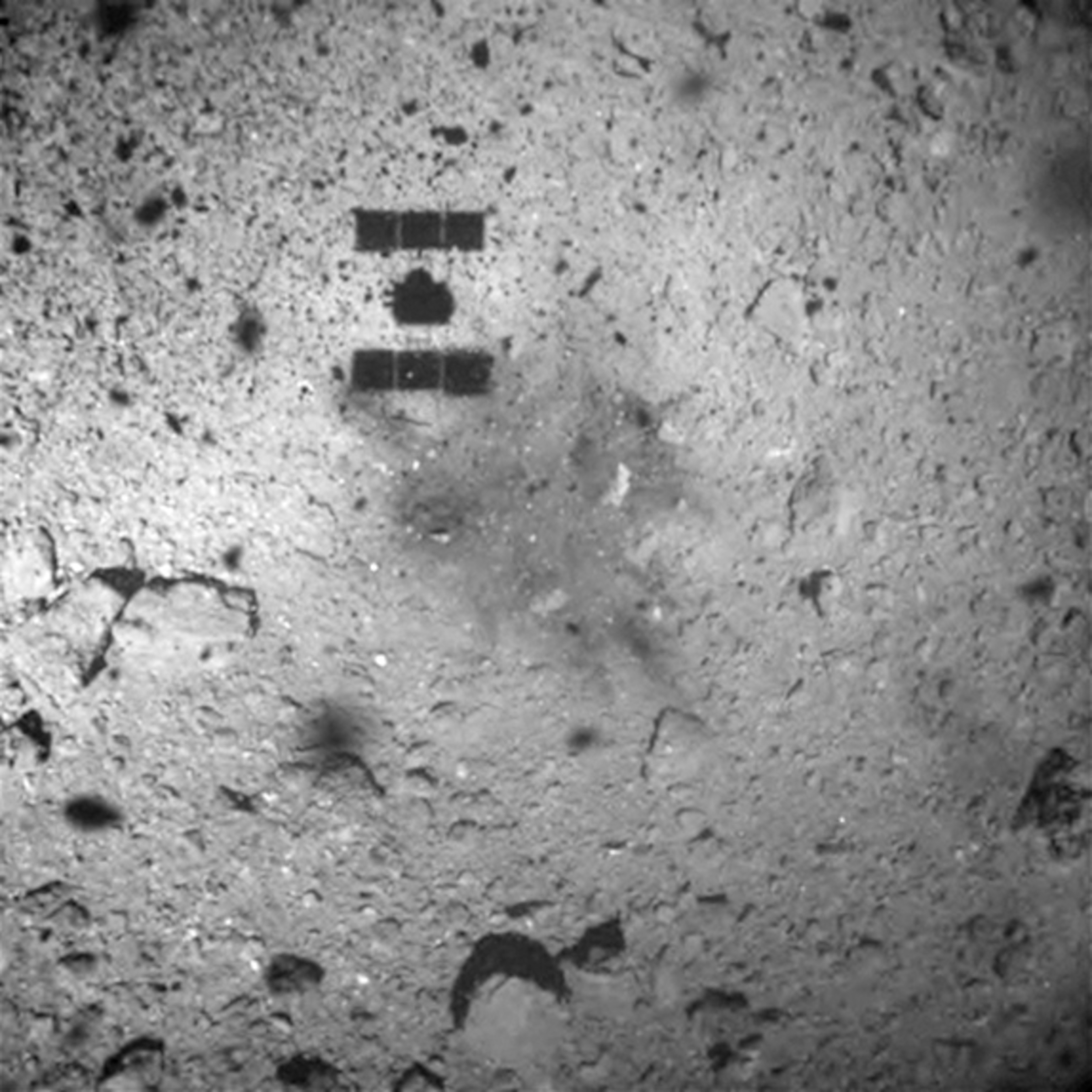 Picture of surface of the asteroid