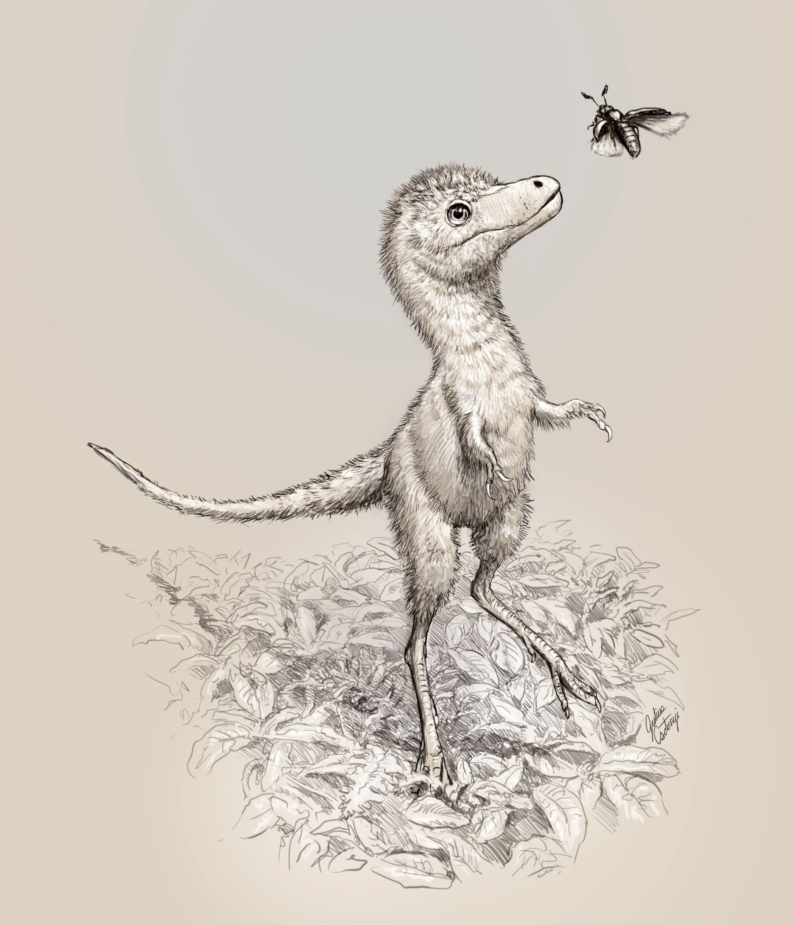 tyrannosaurus