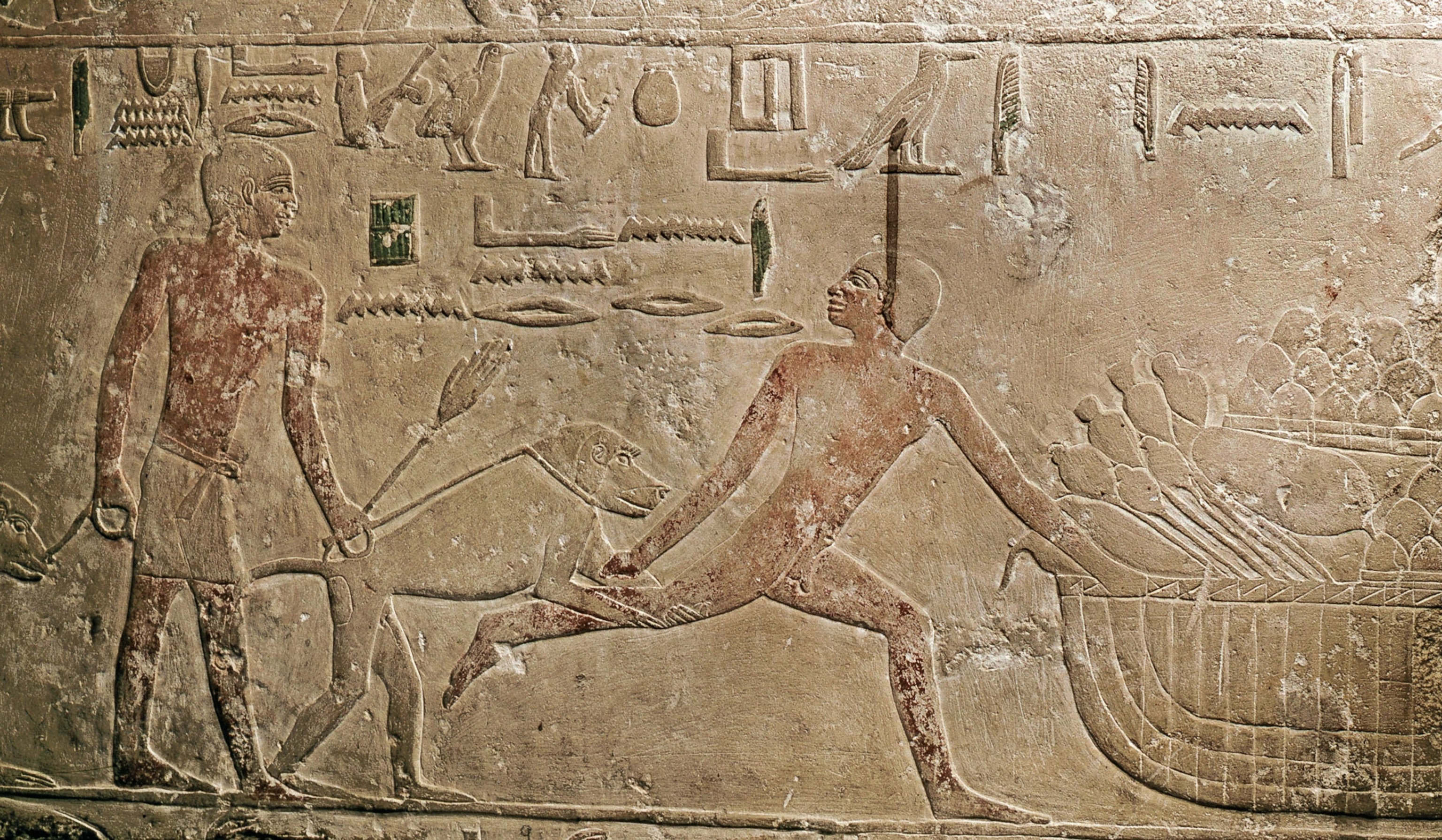 a detail of a third-millennium B.C. relief from the Saqqara Necropolis