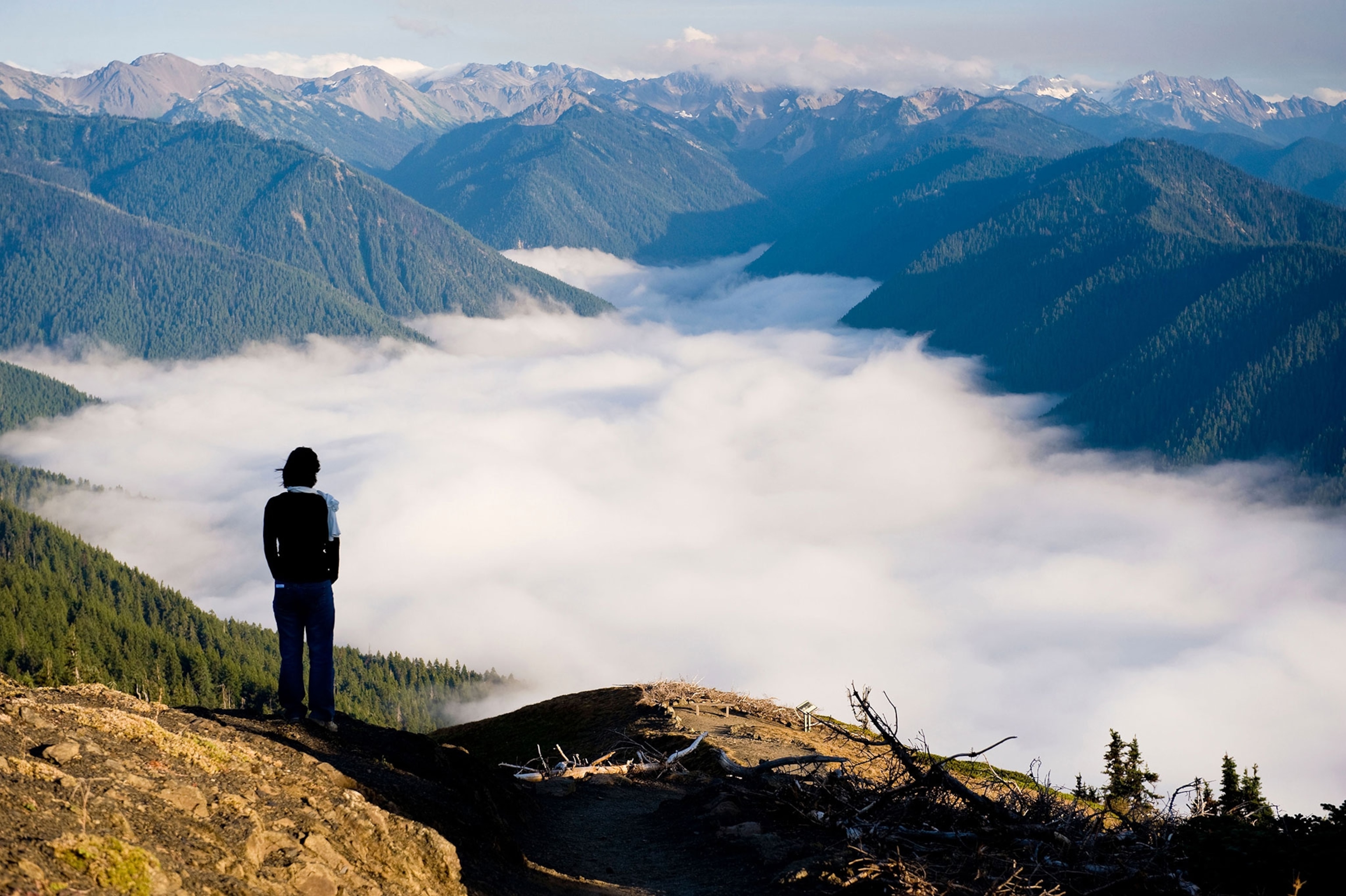 a hiker on Hurricane Ridge, Olympic National Park, Washington