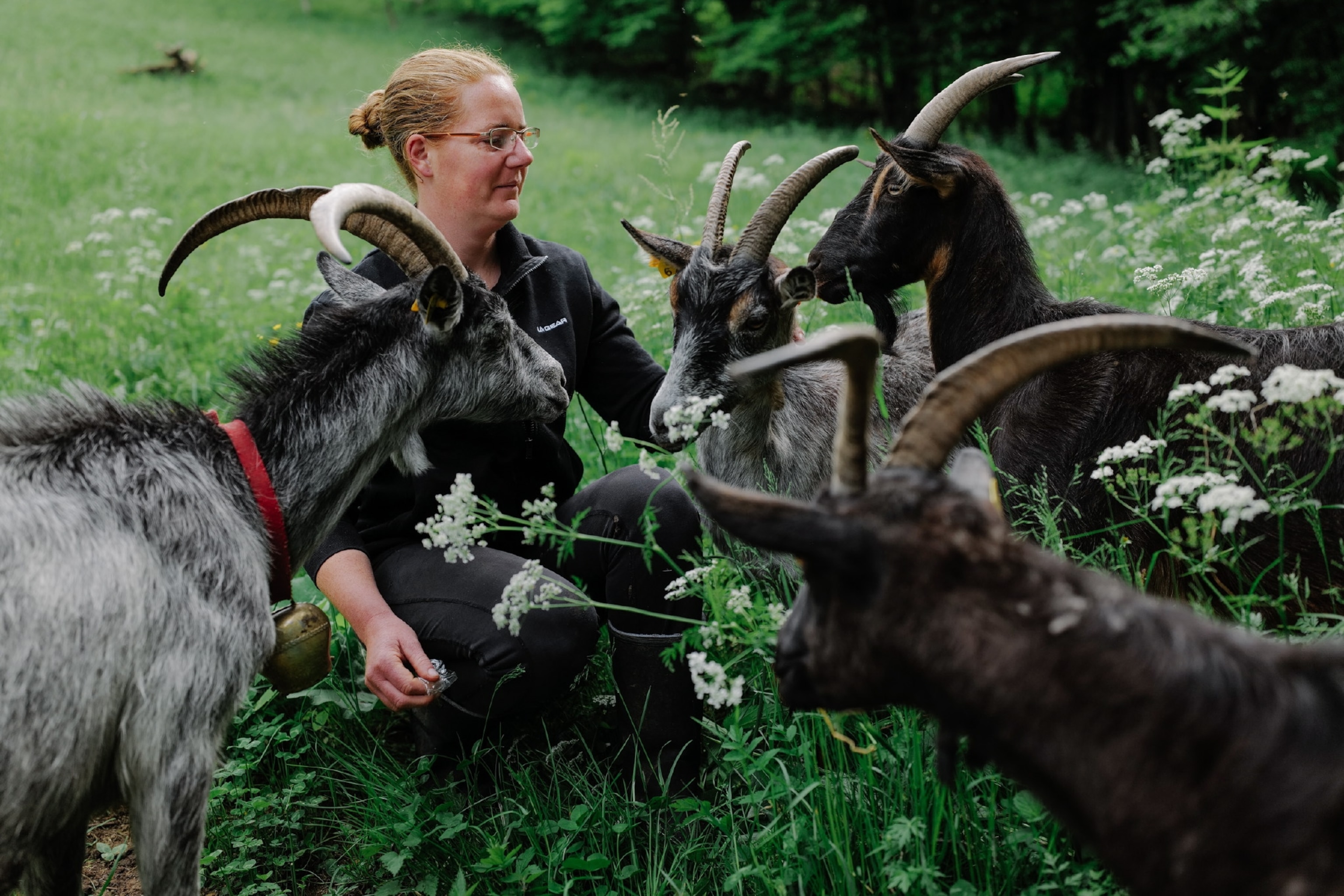 Woman kneeling and caressing her goats
