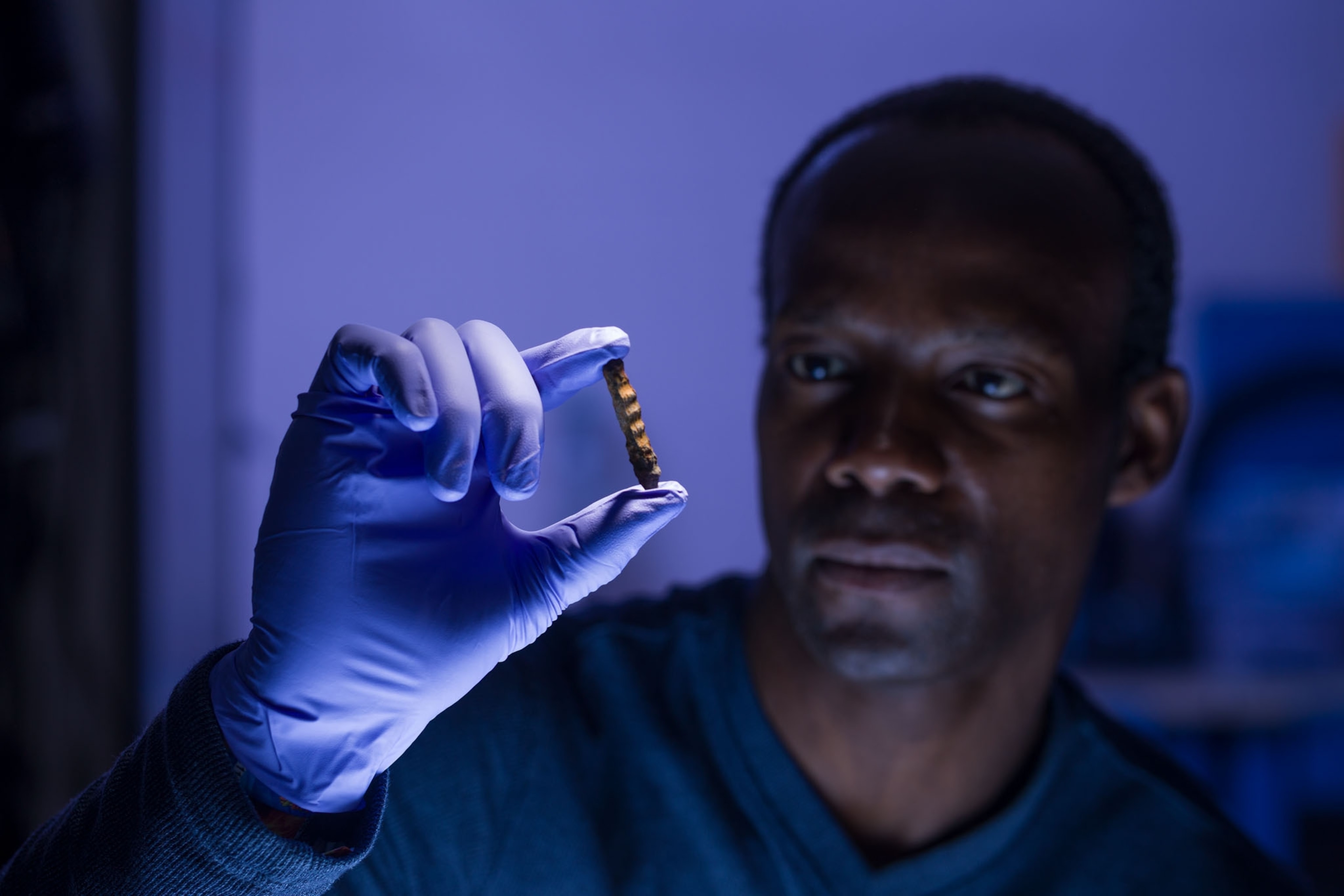 a lab technician holding up a small nail