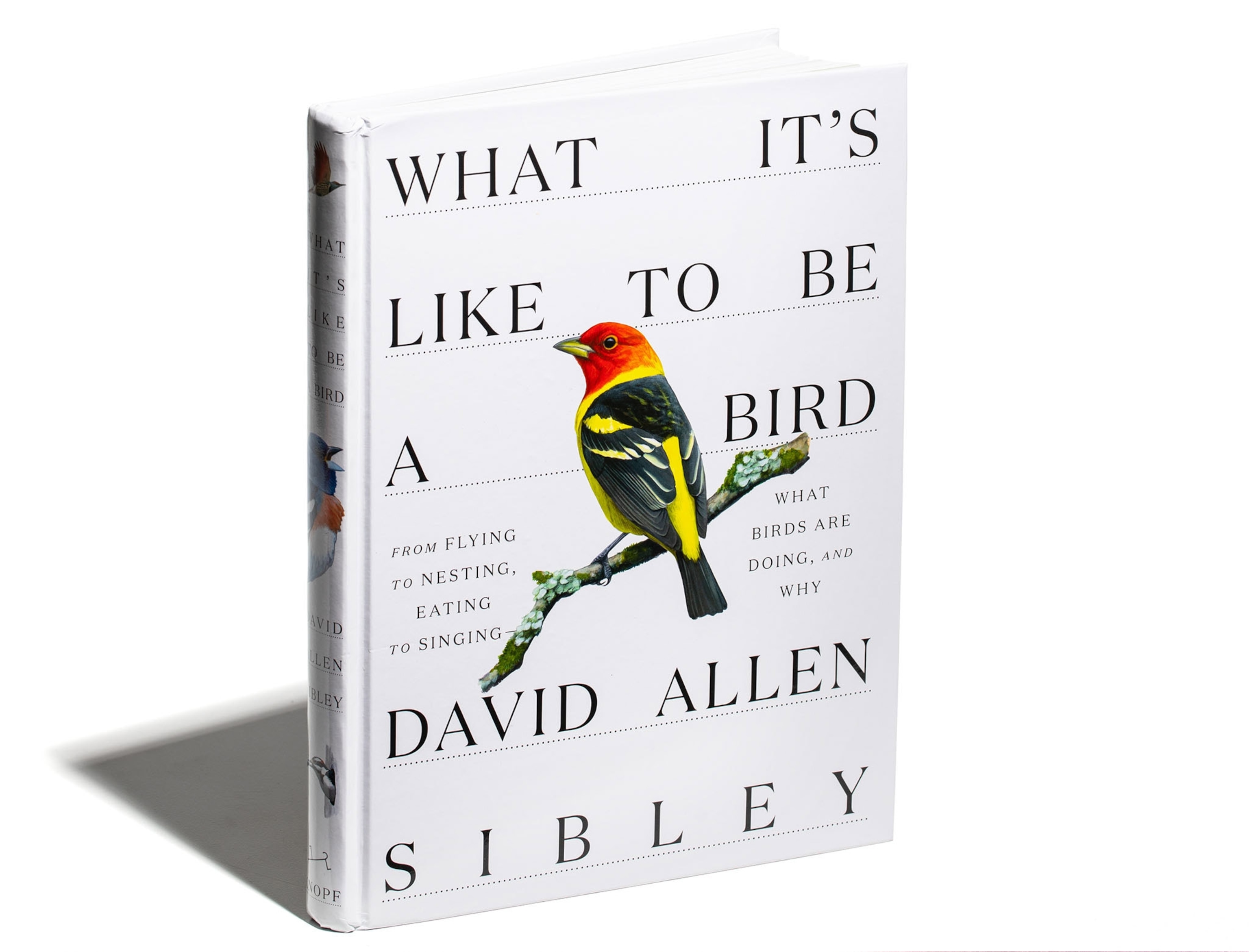 the book What It’s Like to Be a Bird