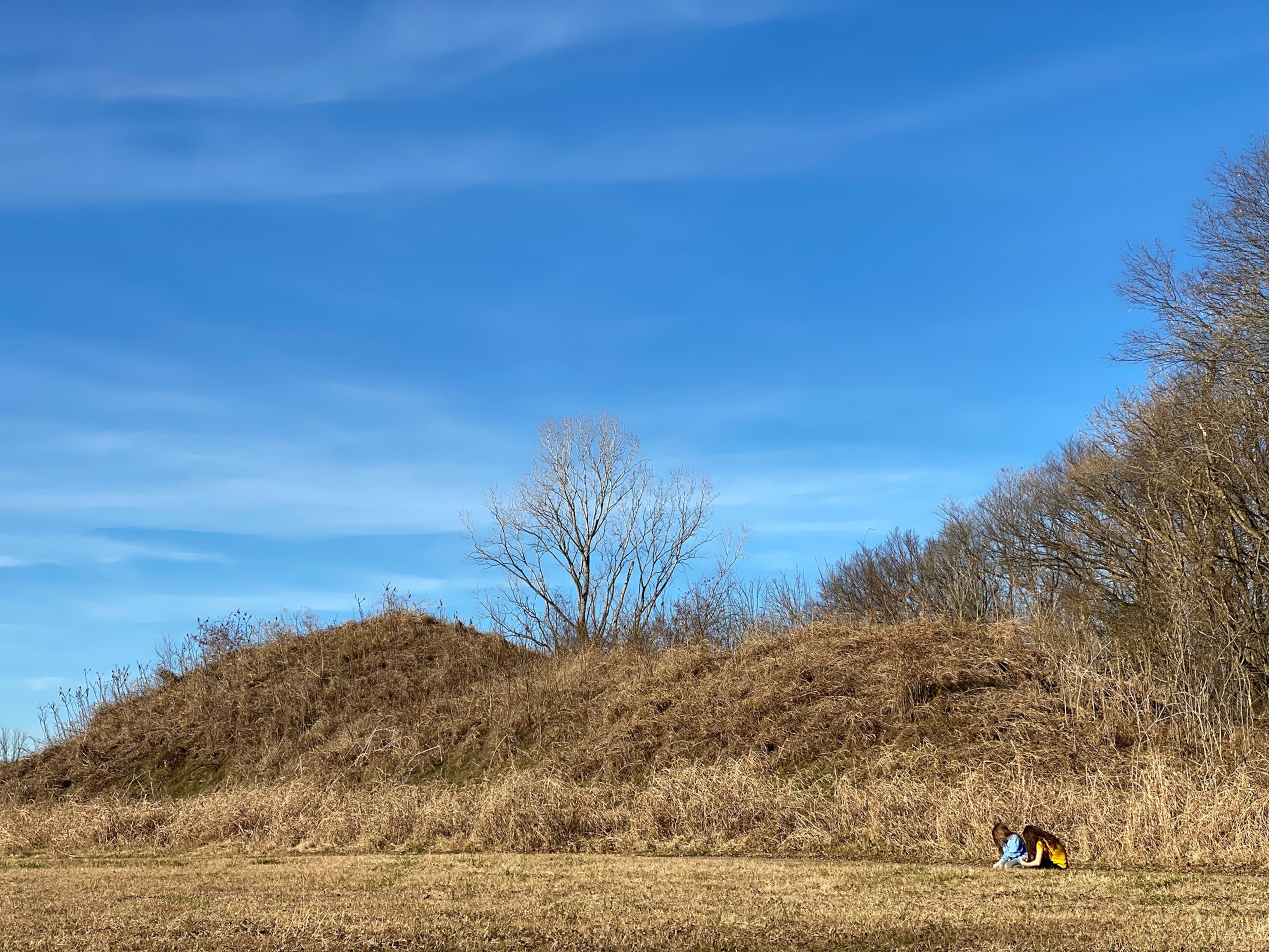 a current view of the Spiro Mounds in Oklahoma