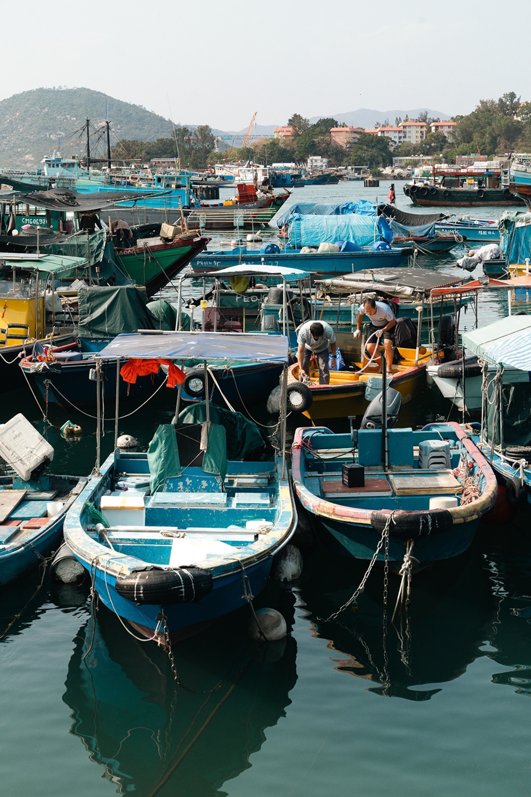 A view onto a tightly packed boat dock with hills in the background.