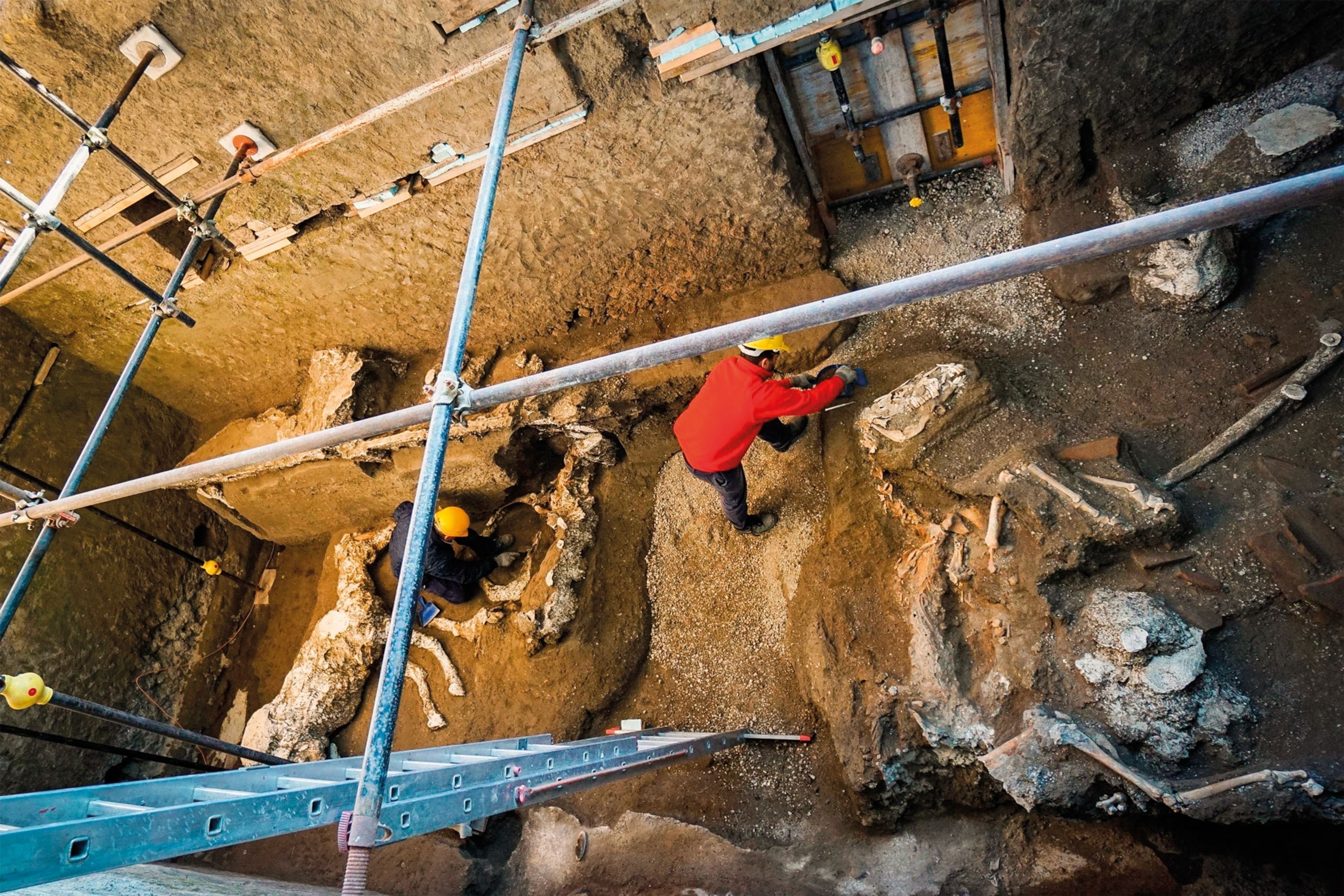 archaeologists excavating a horse skeleton