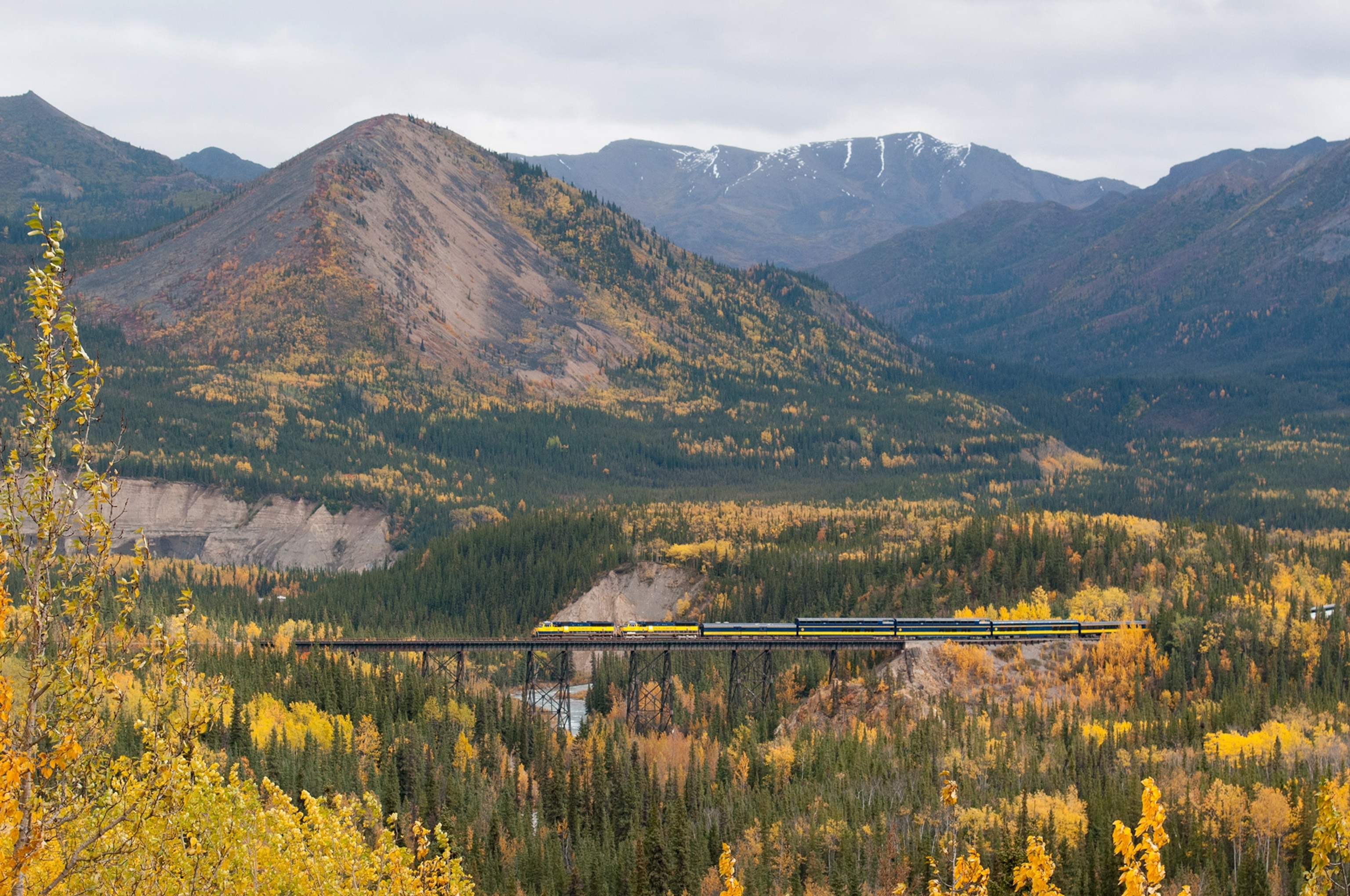 a train traveling across a bridge in the fall in Denali National Park in Alaska