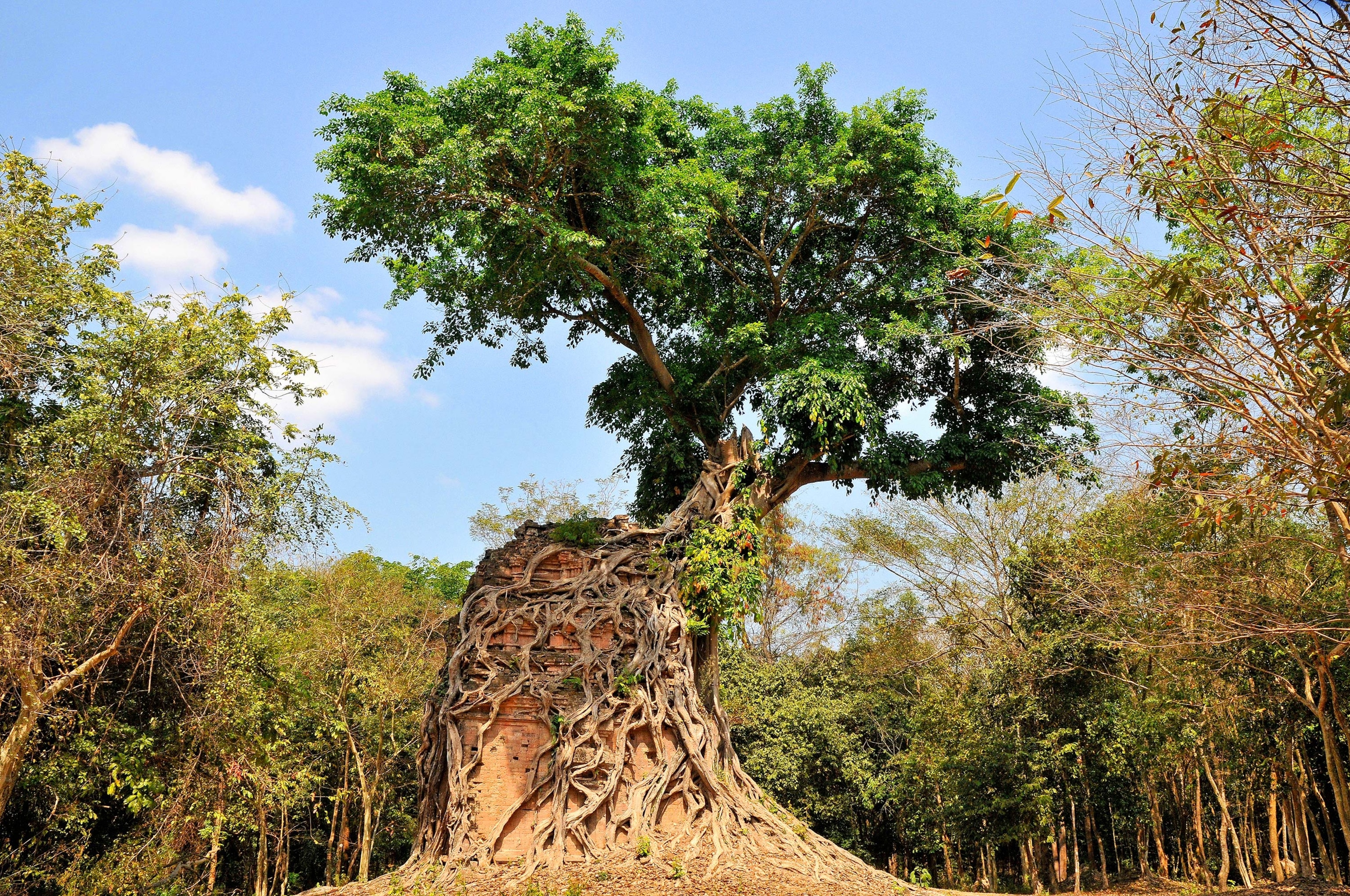 Sambor Prei Kuk temple ruins in Kompong Thom Province, Cambodia