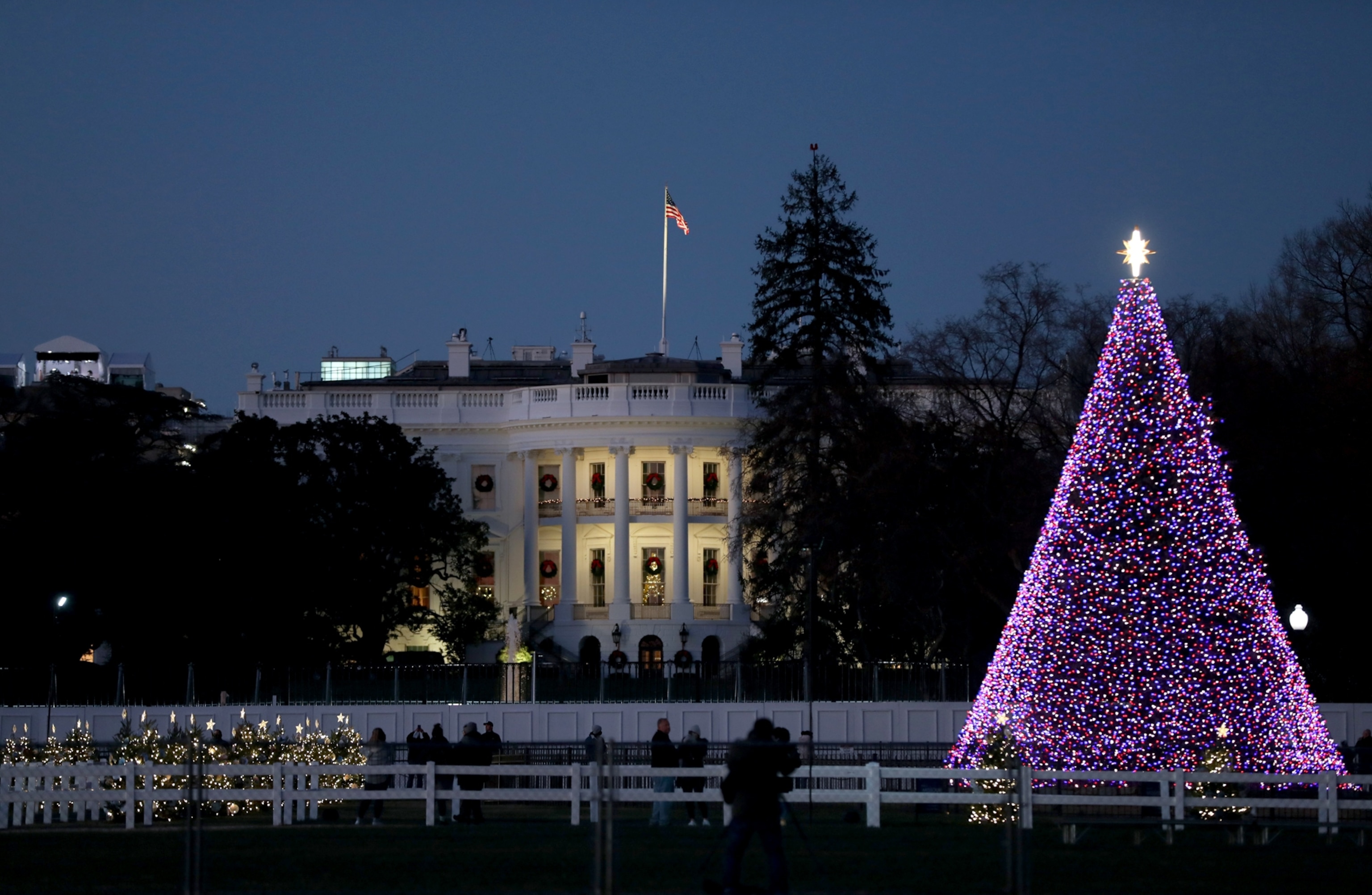 The National Christmas Tree south of the White House in Washington, DC