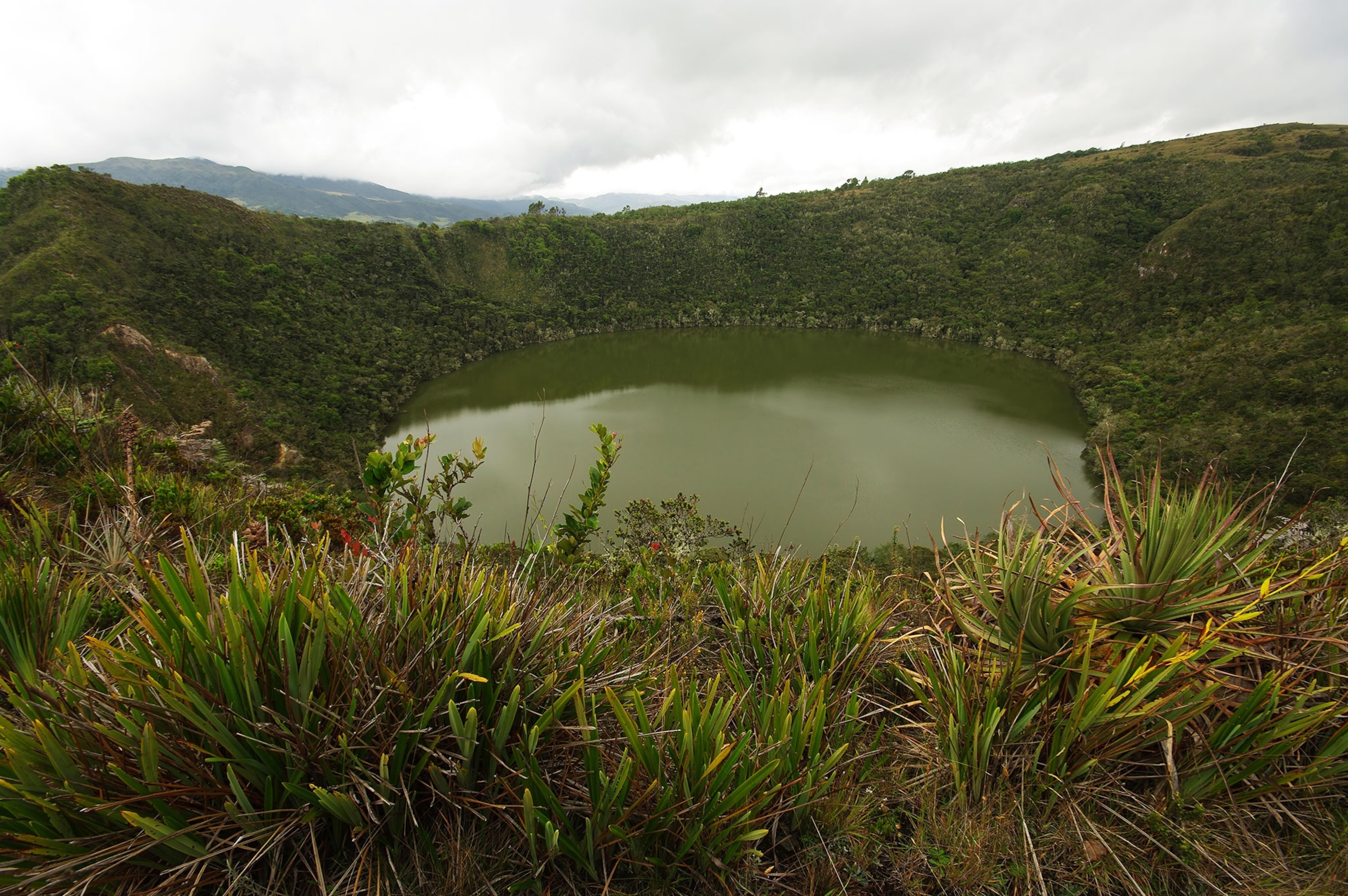 Lush, green grass, surrounds a round, milky green lake.