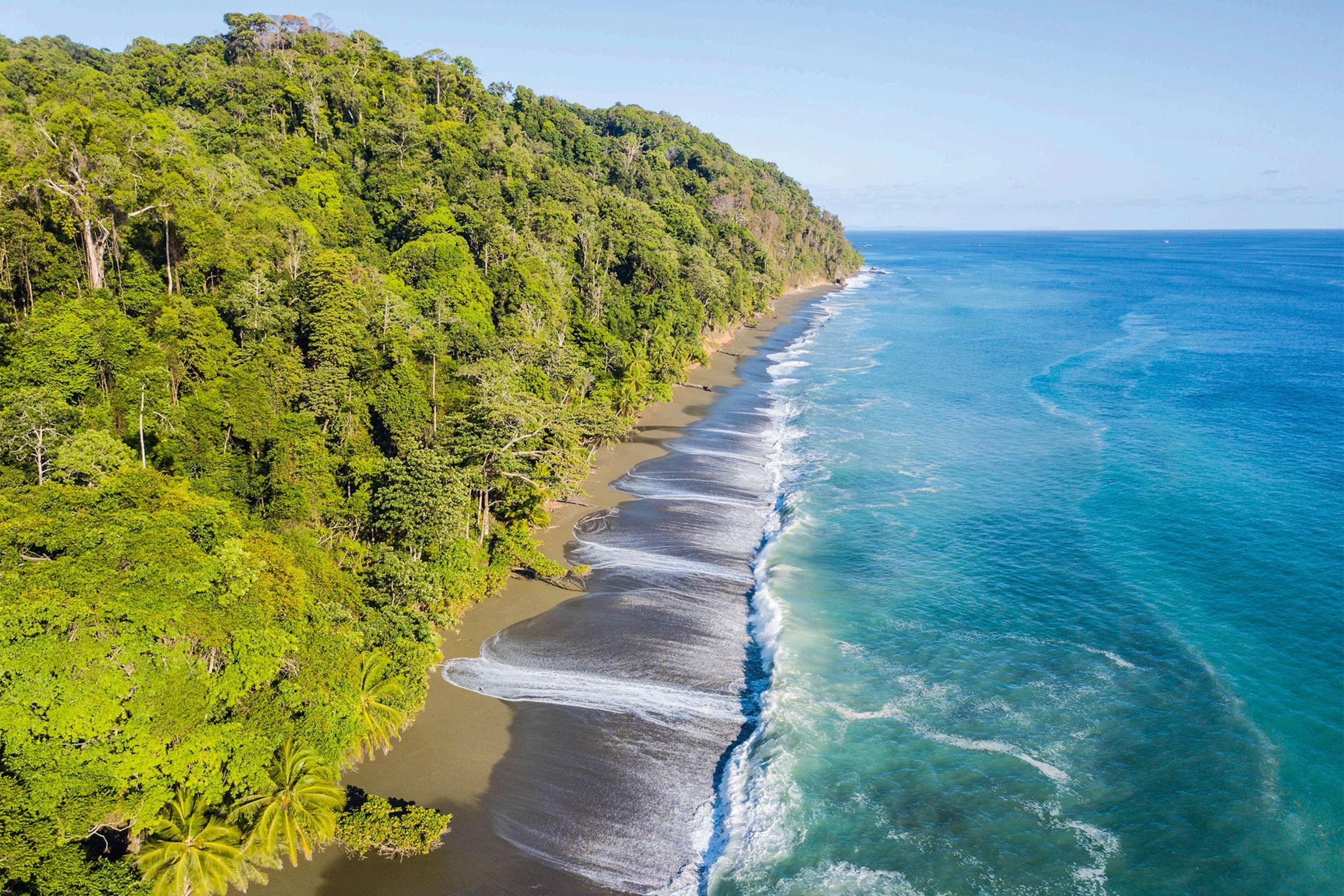 The rainforest meets the Pacific Ocean at Corcovado National Park on the Osa Peninsula.