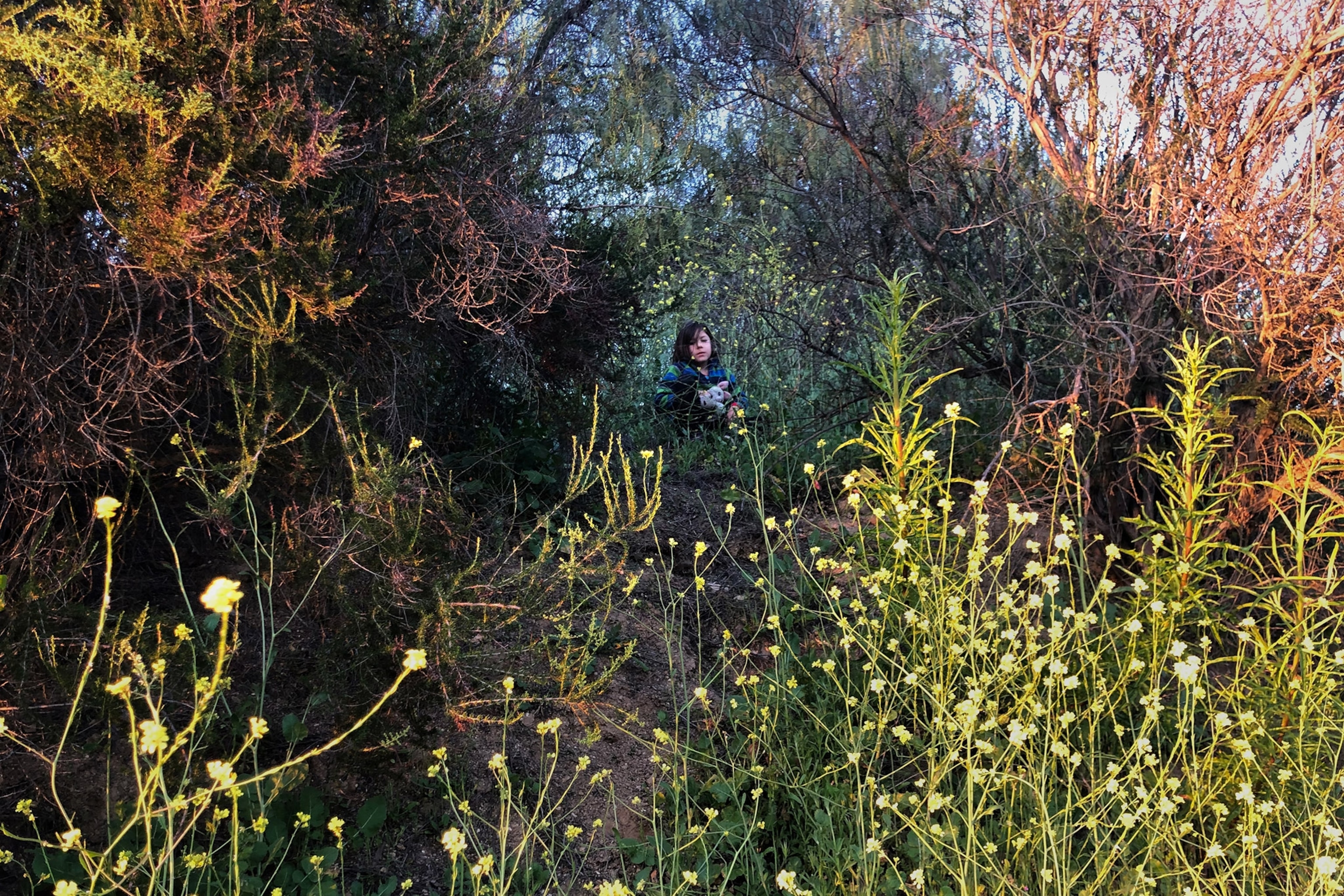 a boy in the forest