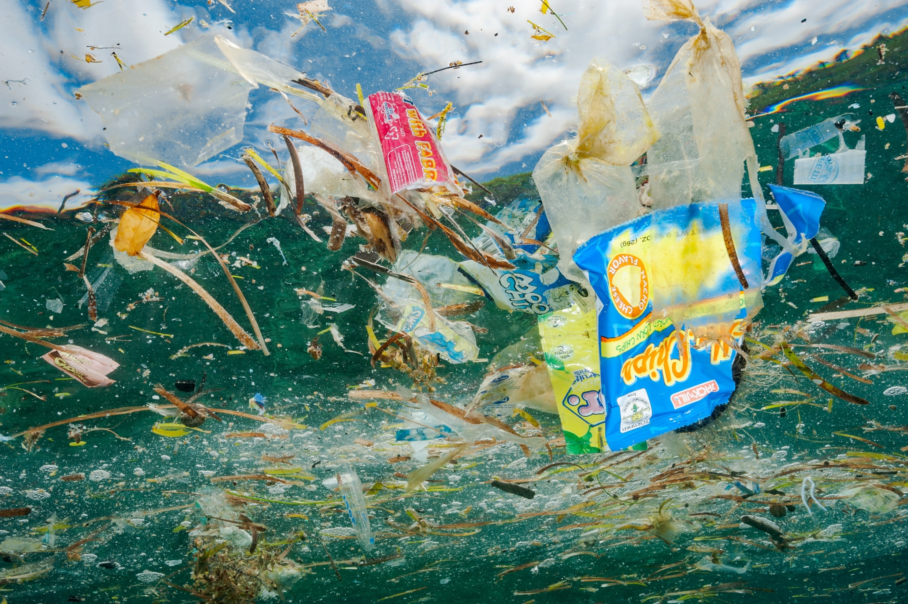 Picture of trash floating in the ocean water.