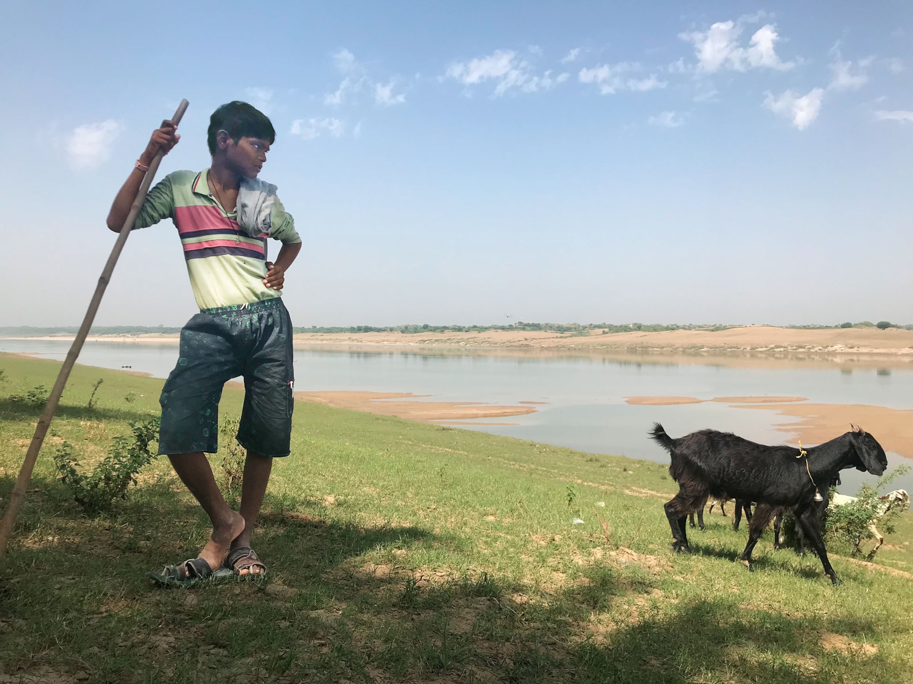 a man with a goat