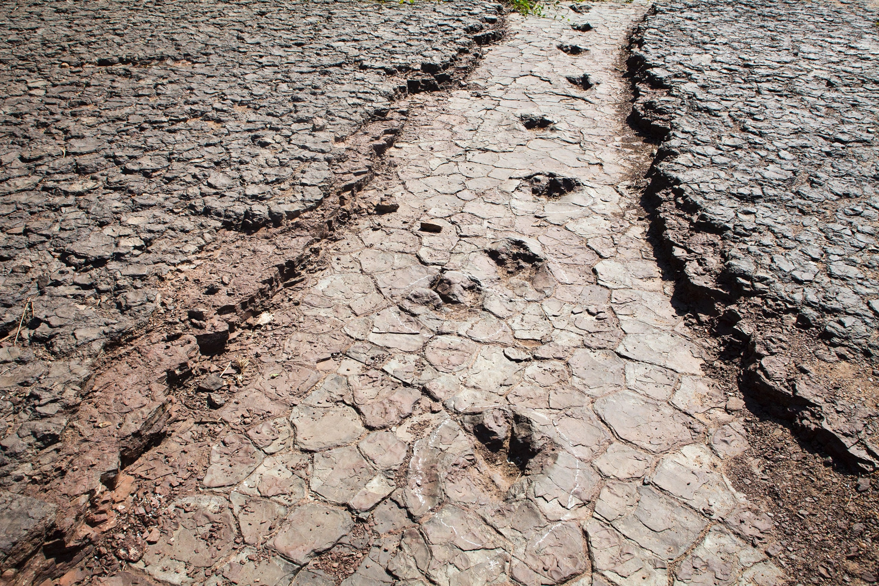 dinosaur footprints in the Valley of the Dinosaurs.