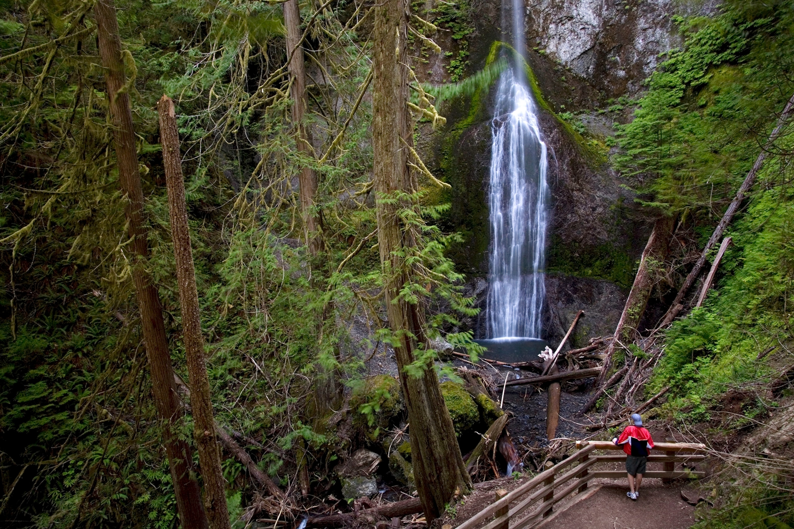 Marymere Falls in Olympic National Park, Washington