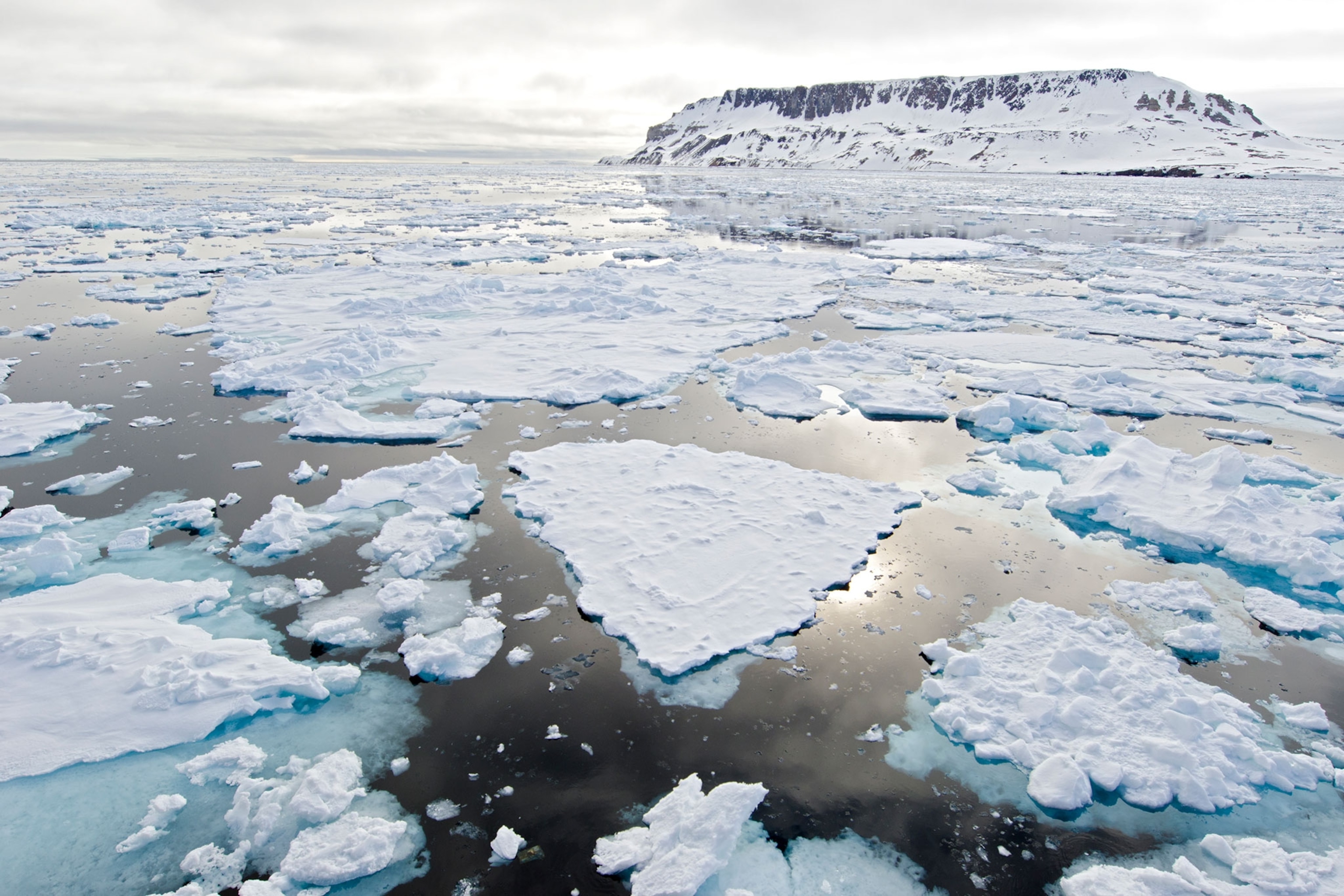 arctic ice