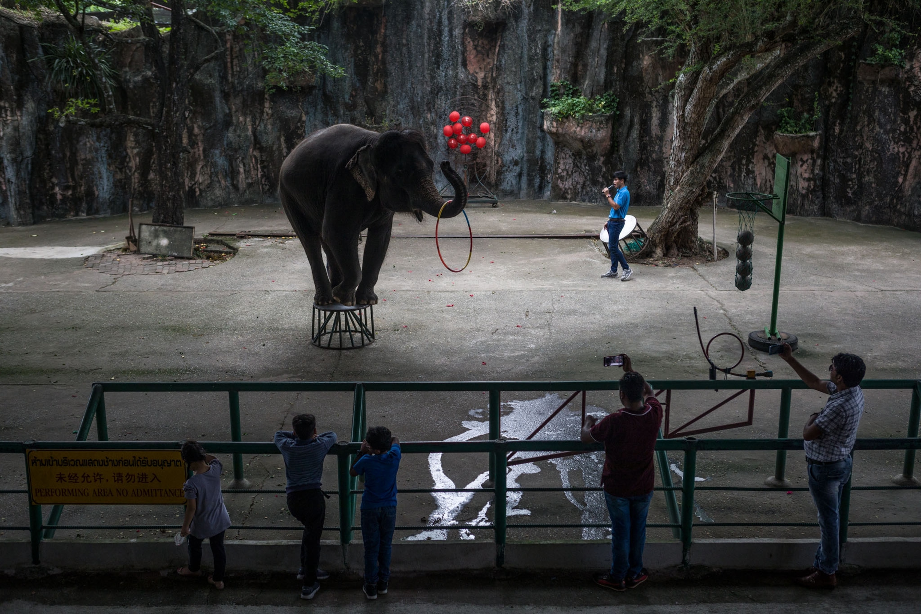 a people engaging with animals for tourism