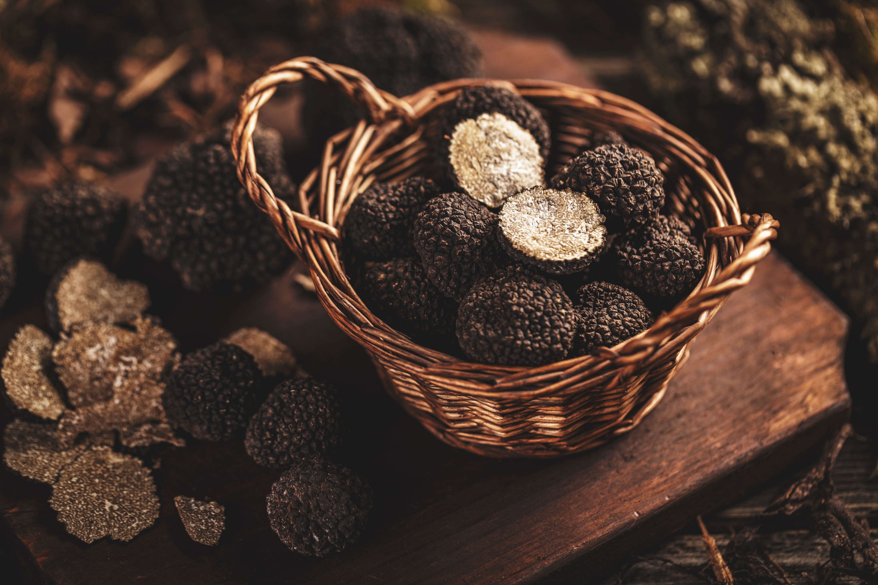 Close up of black truffle muschrooms in a wicker basket.
