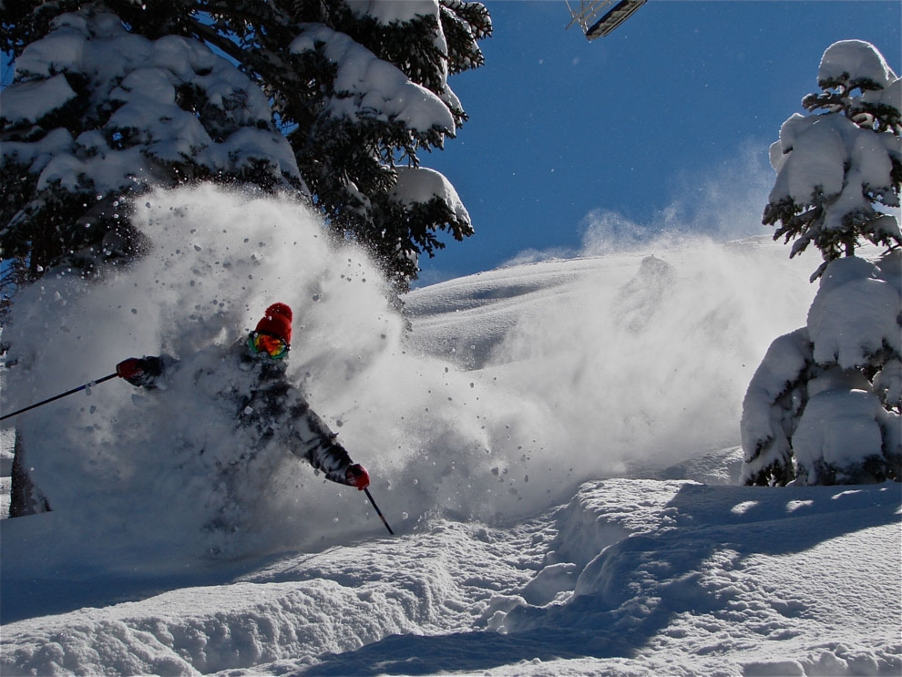 Skiing in powder