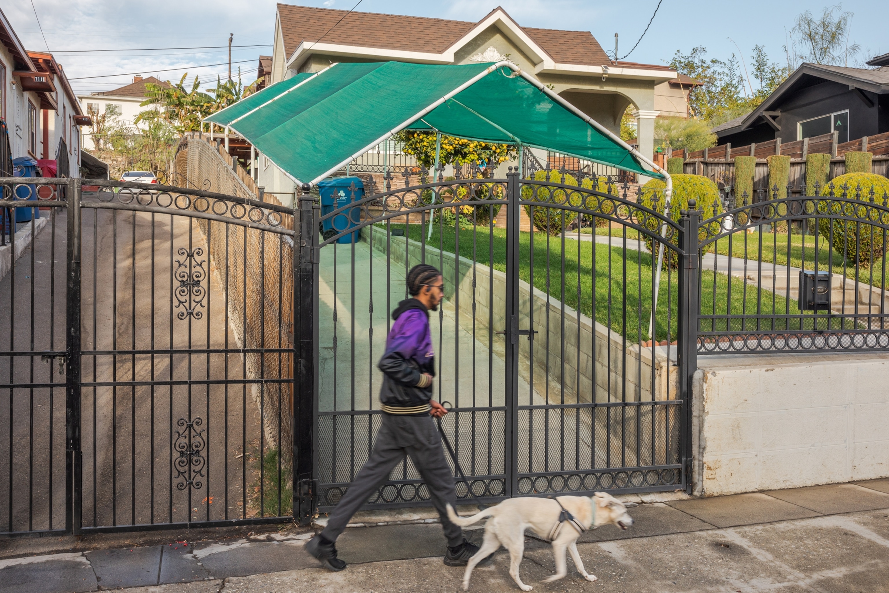 Picture of man walking a dog passing by green tarp canopy over driveway