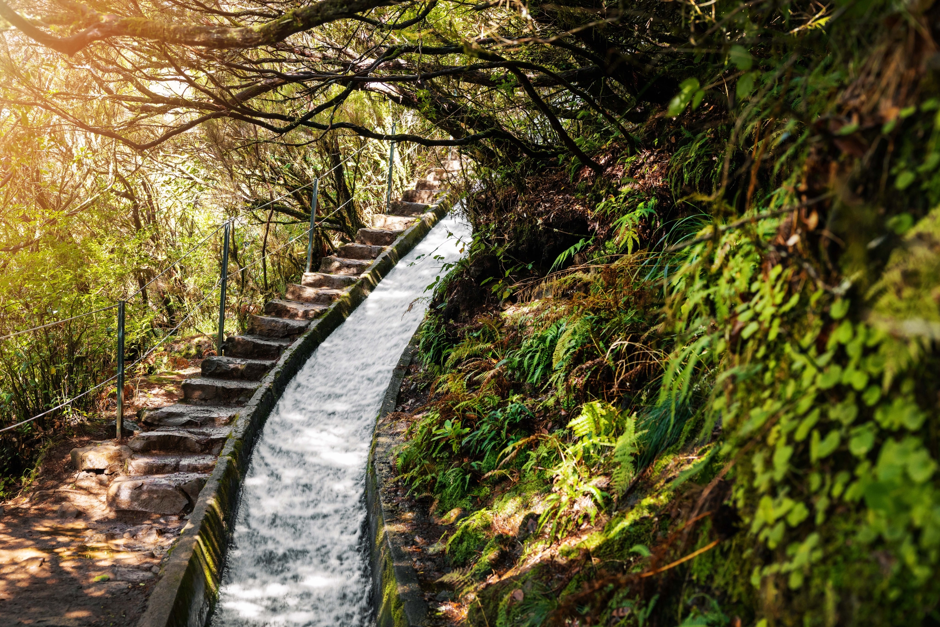 A path alongside a levada irrigation channel