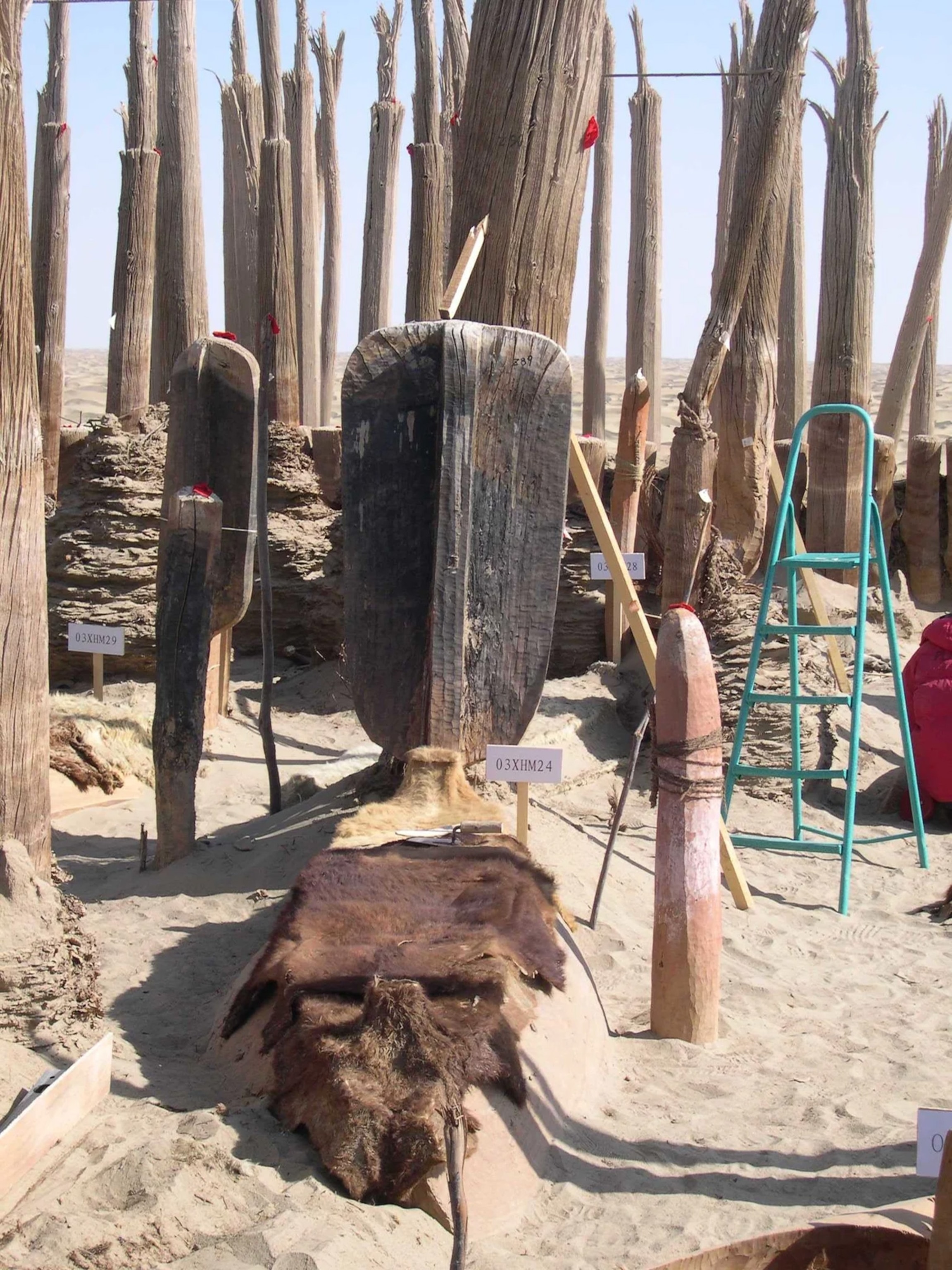 a coffin covered in cattle hide marked with an upright oar