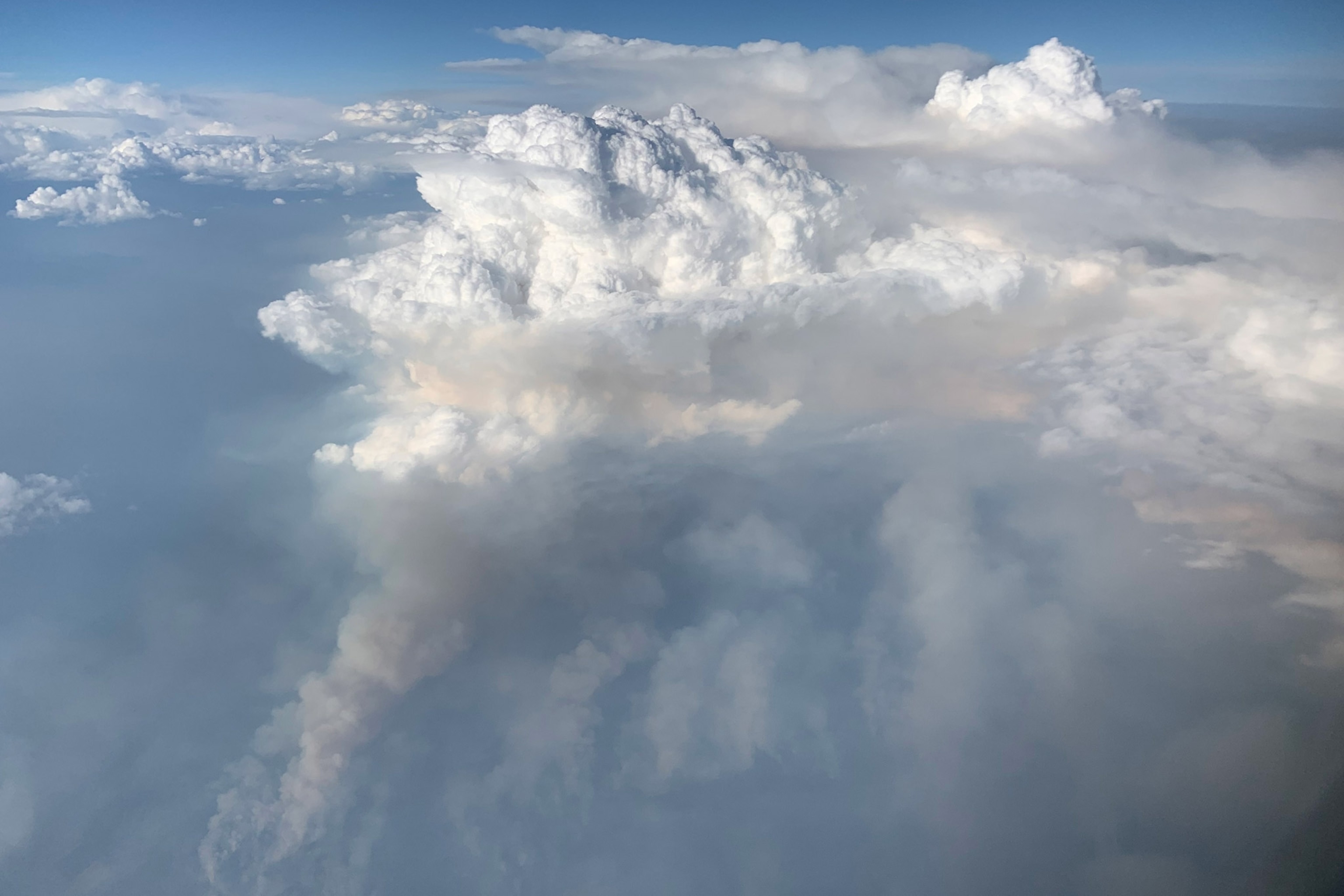 flying through a fire cloud formed by the williams flats fire