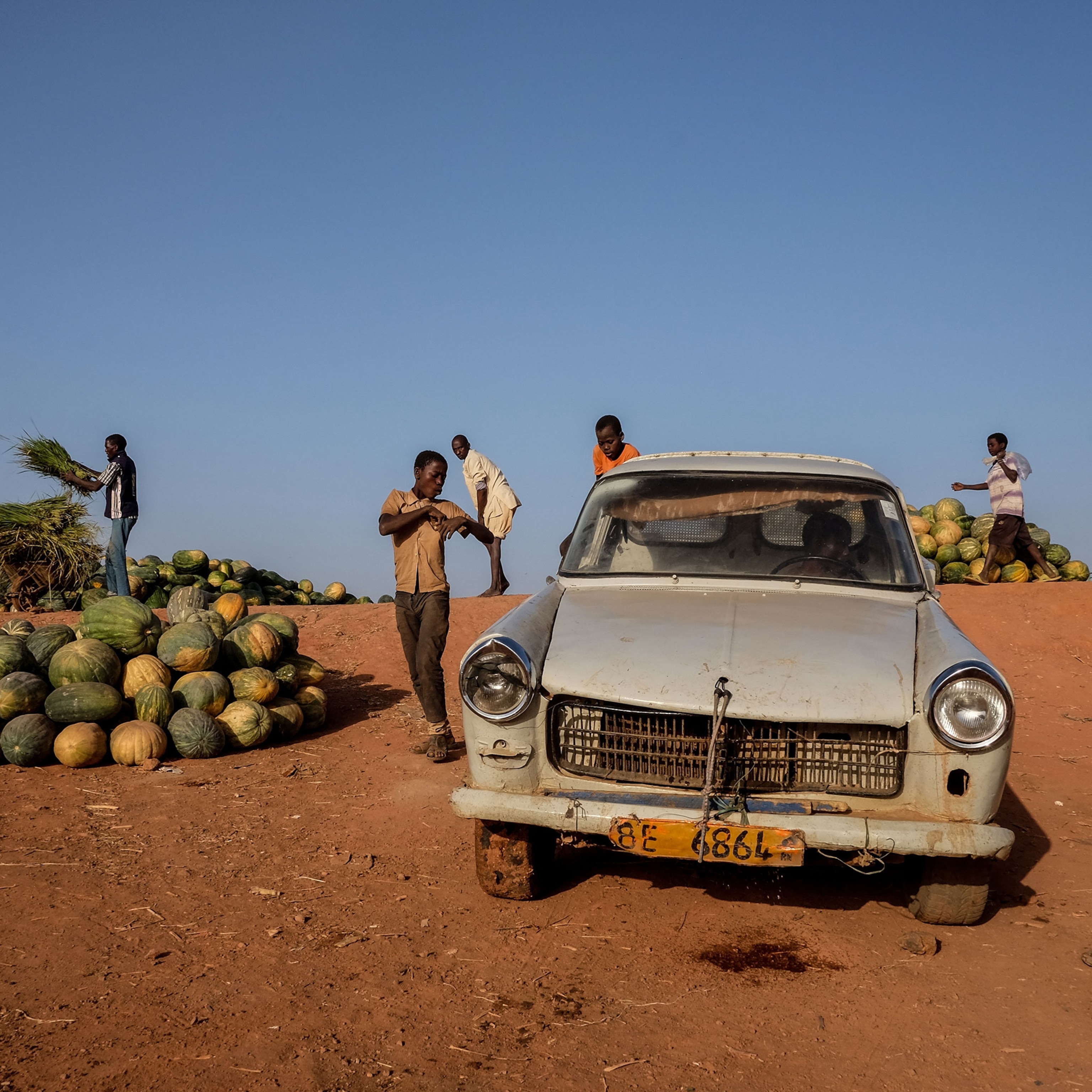 boys loading a truck full of squash along the banks of the Niger River in Niamey, Niger