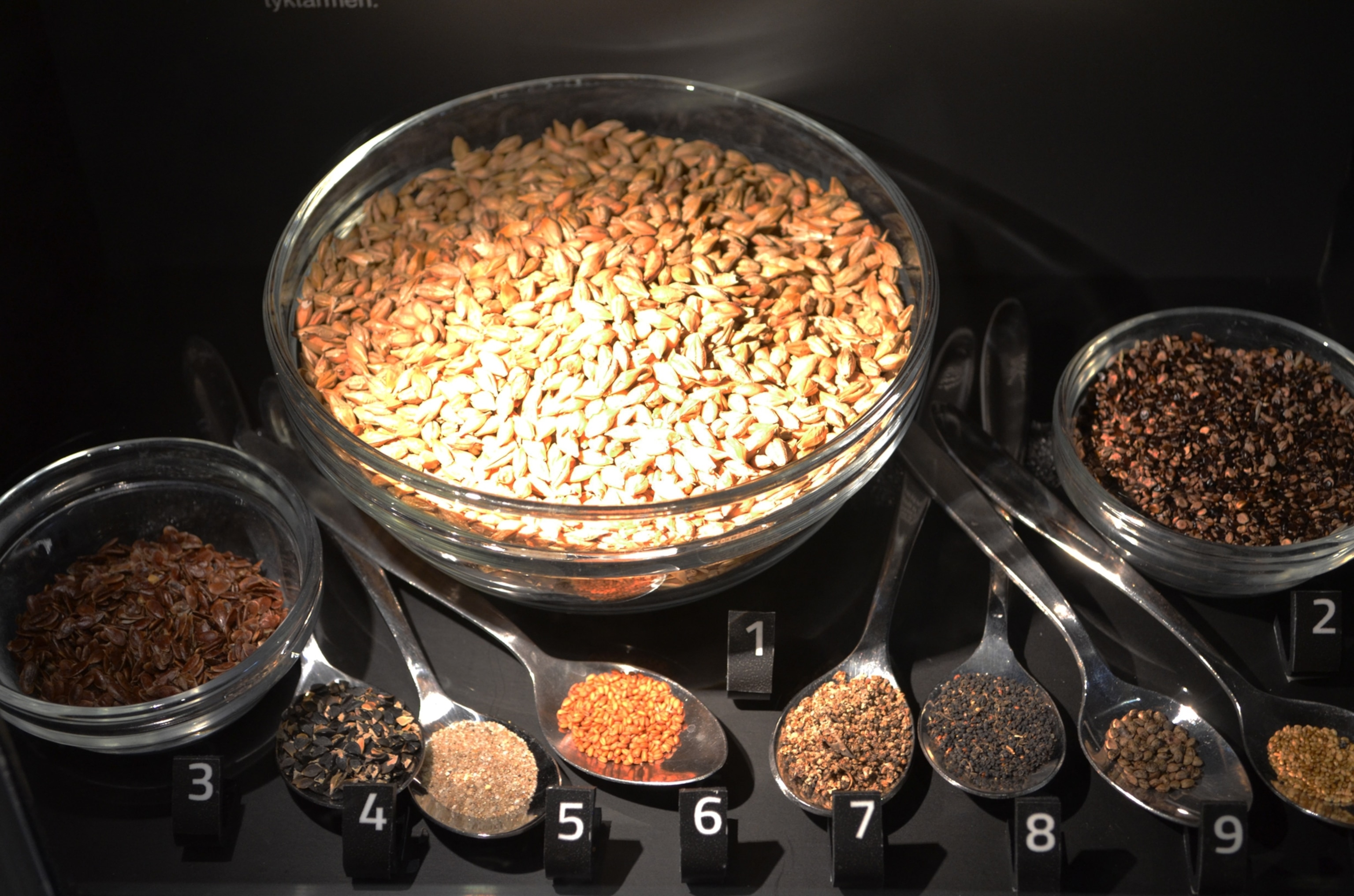 plant ingredients used for the Tollund Man's last mean