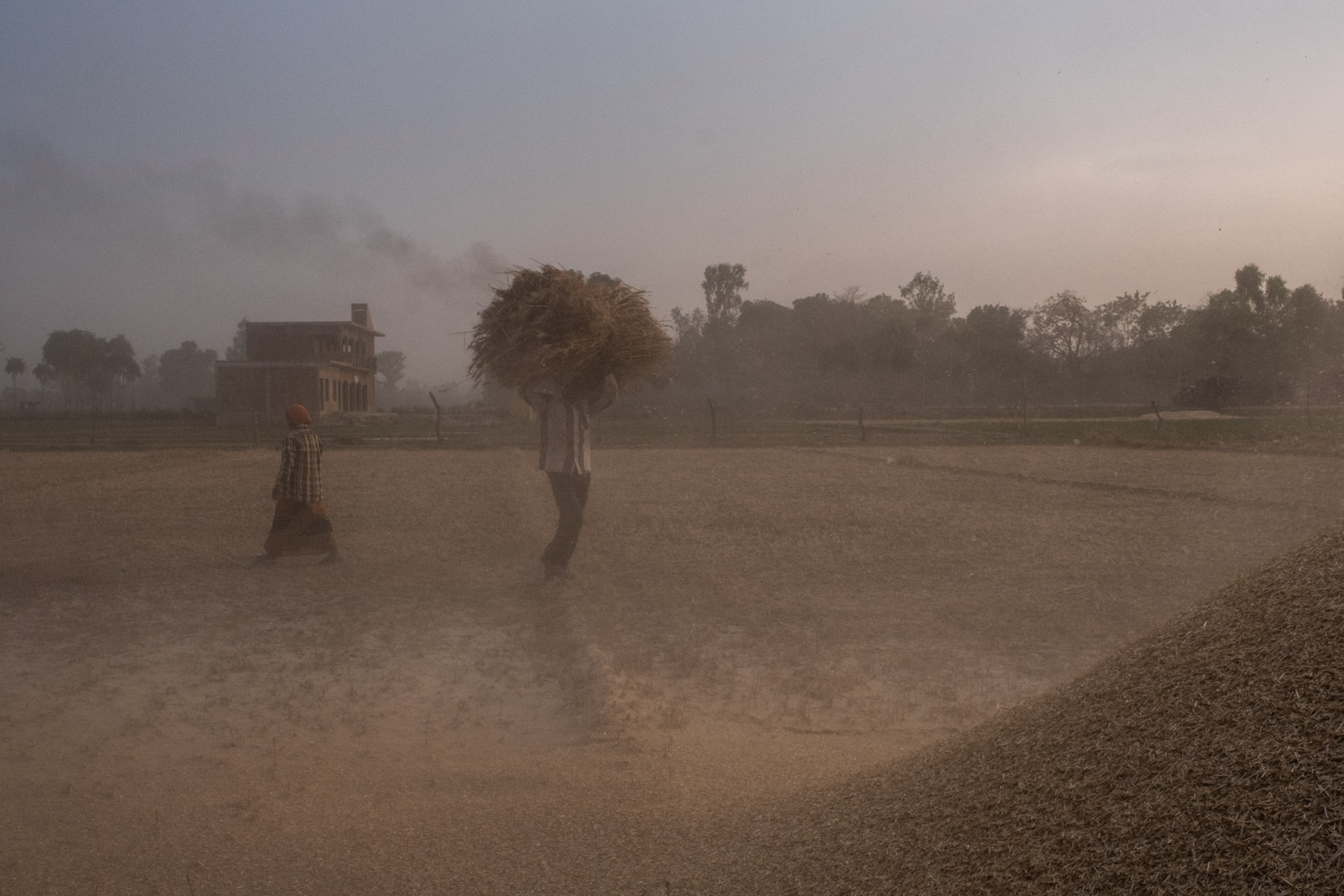 two people carrying bushels of wheat on their heads in a dusty field