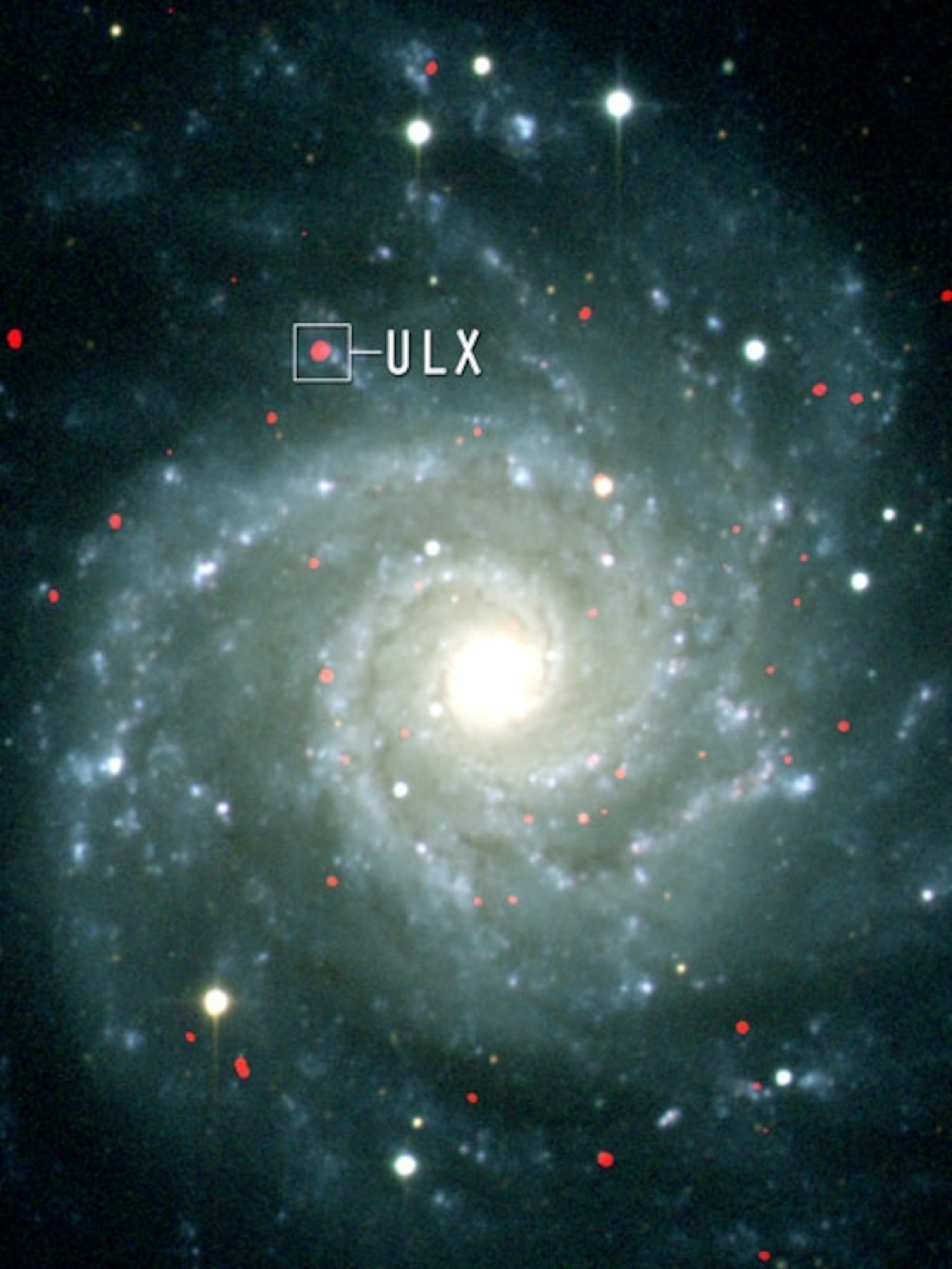 possible intermediate-mass black hole