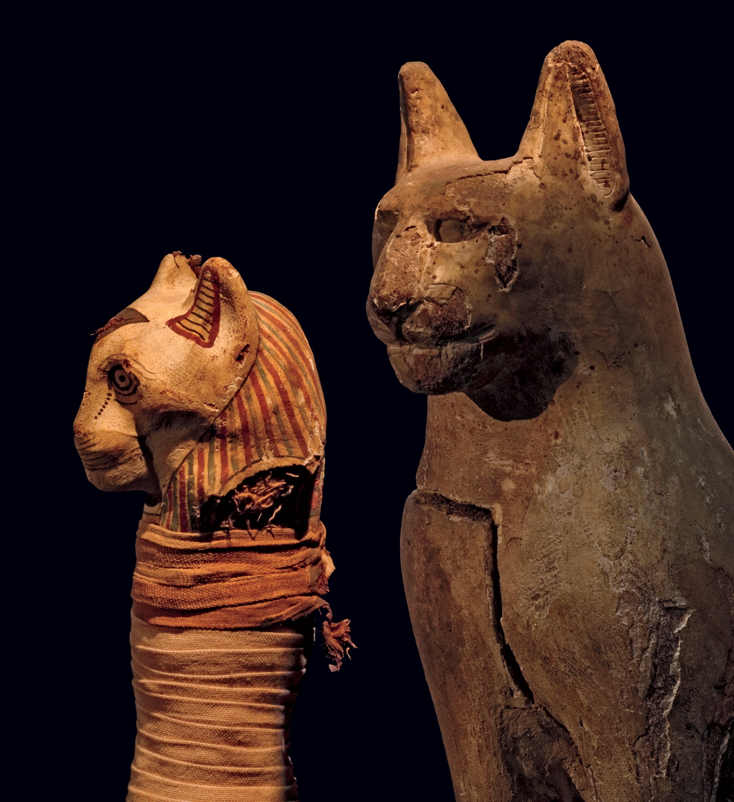 A wooden cat-shaped coffin, plastered and whitewashed to imitate limestone, stands about 14.5 inches tall, dwarfing the kitten inside.