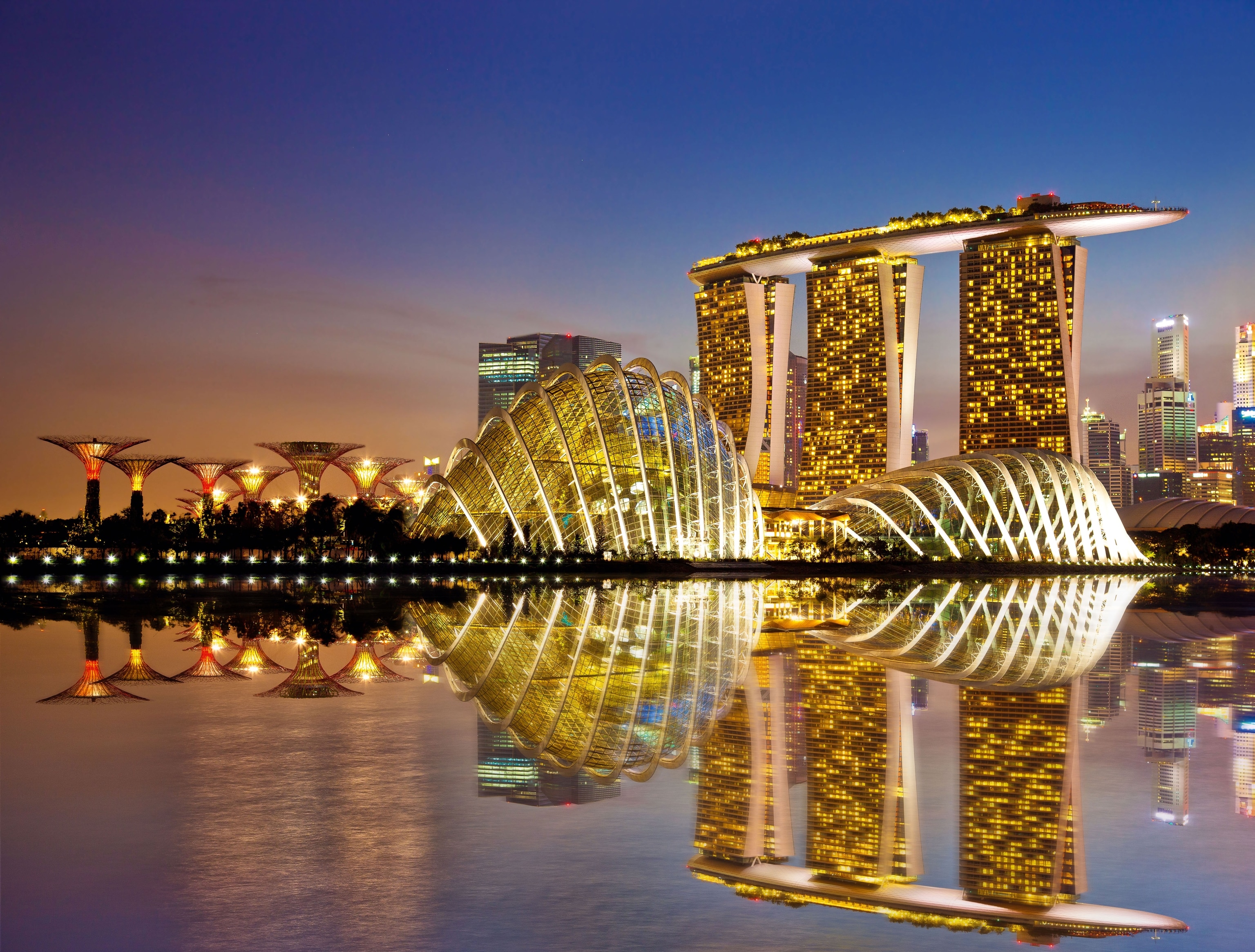 evening images of Singapore's Supertrees lighten up at Gardens by Bay.