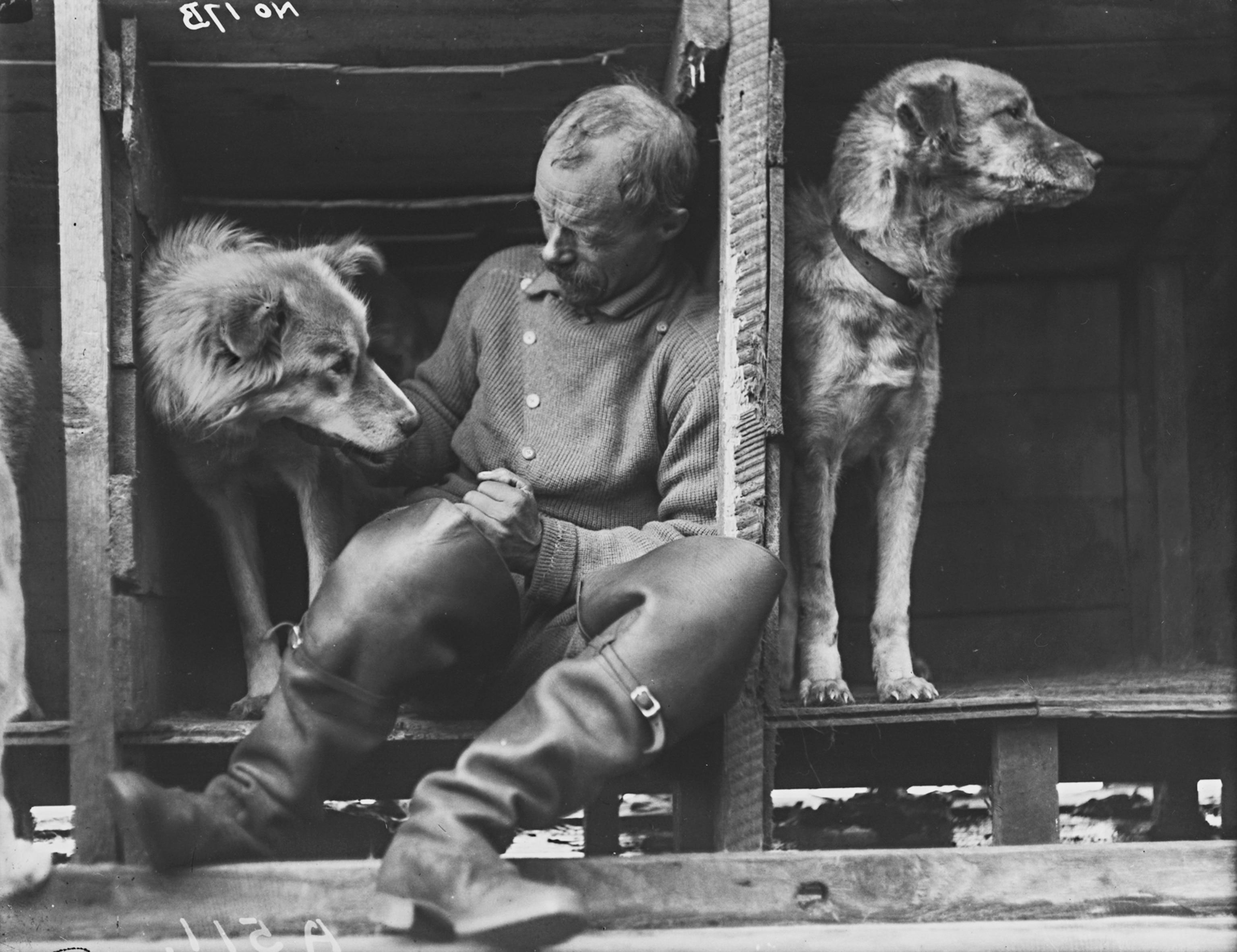 Frank Wild, Shackleton’s trusty second-in-command, enjoying time on deck with some of the sledge dogs