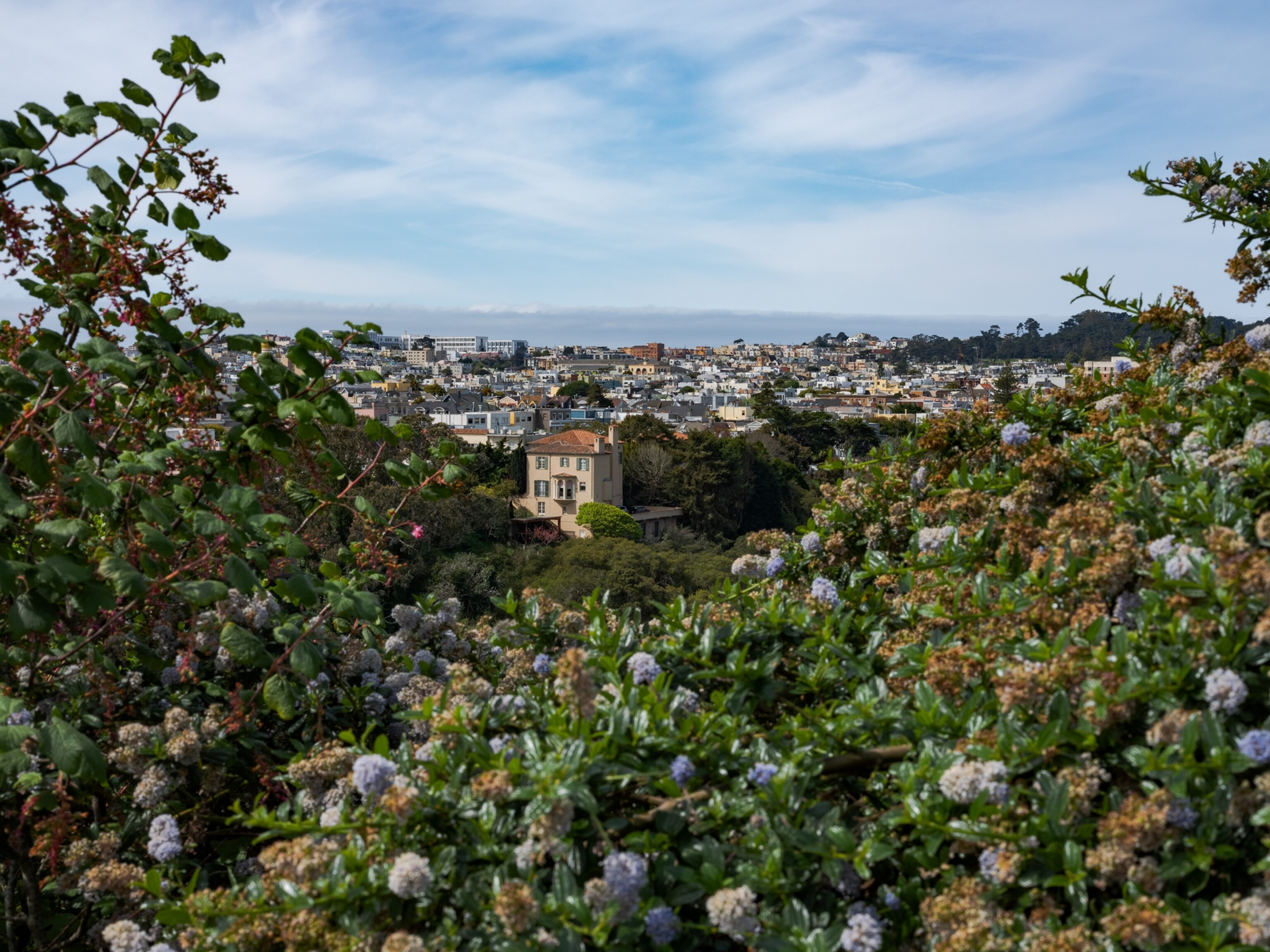 View from the Lobos Valley Trail portion of the Crosstown Trail in San Francisco