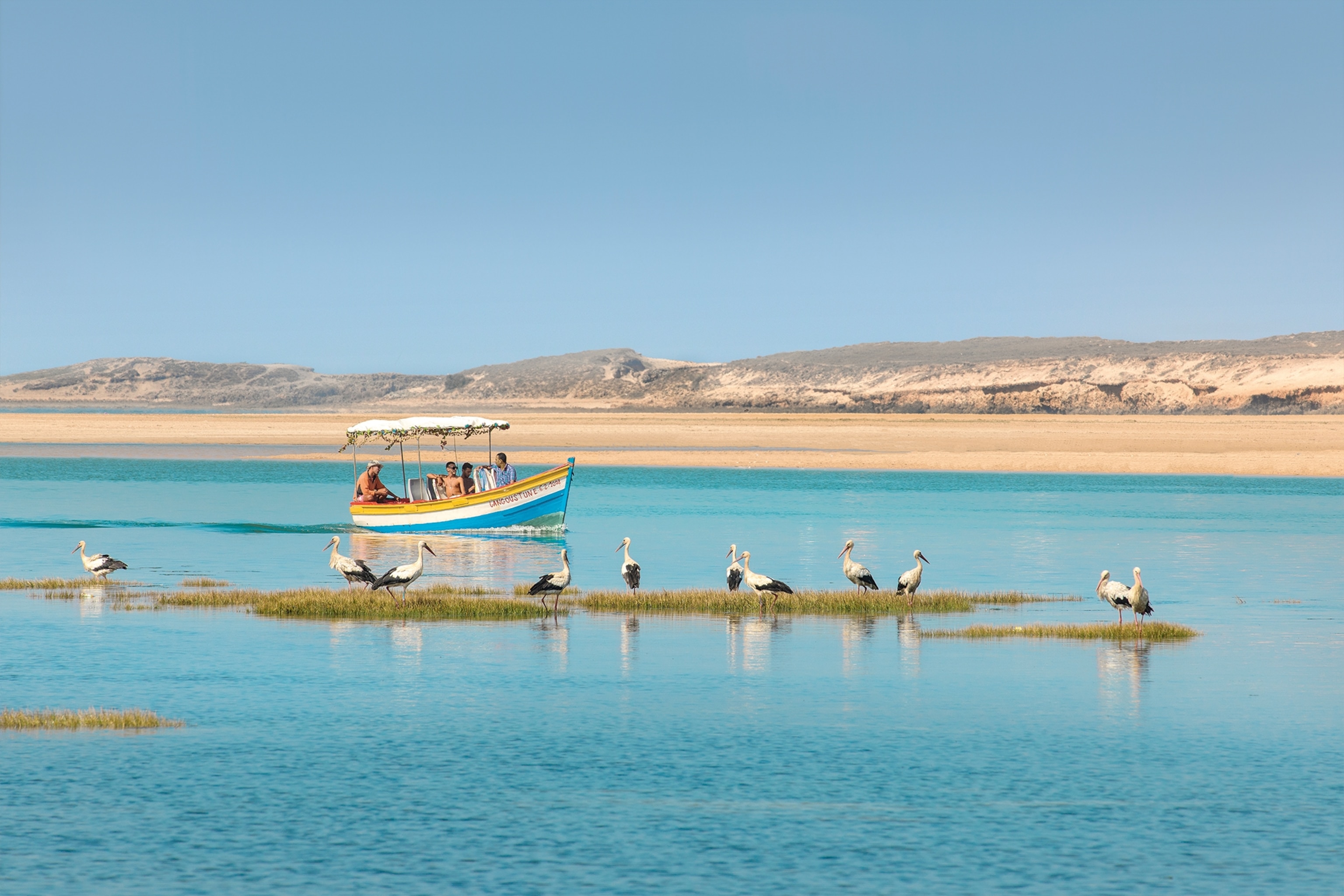 Boat sailing on a lagoon with birds standing on grass on the water