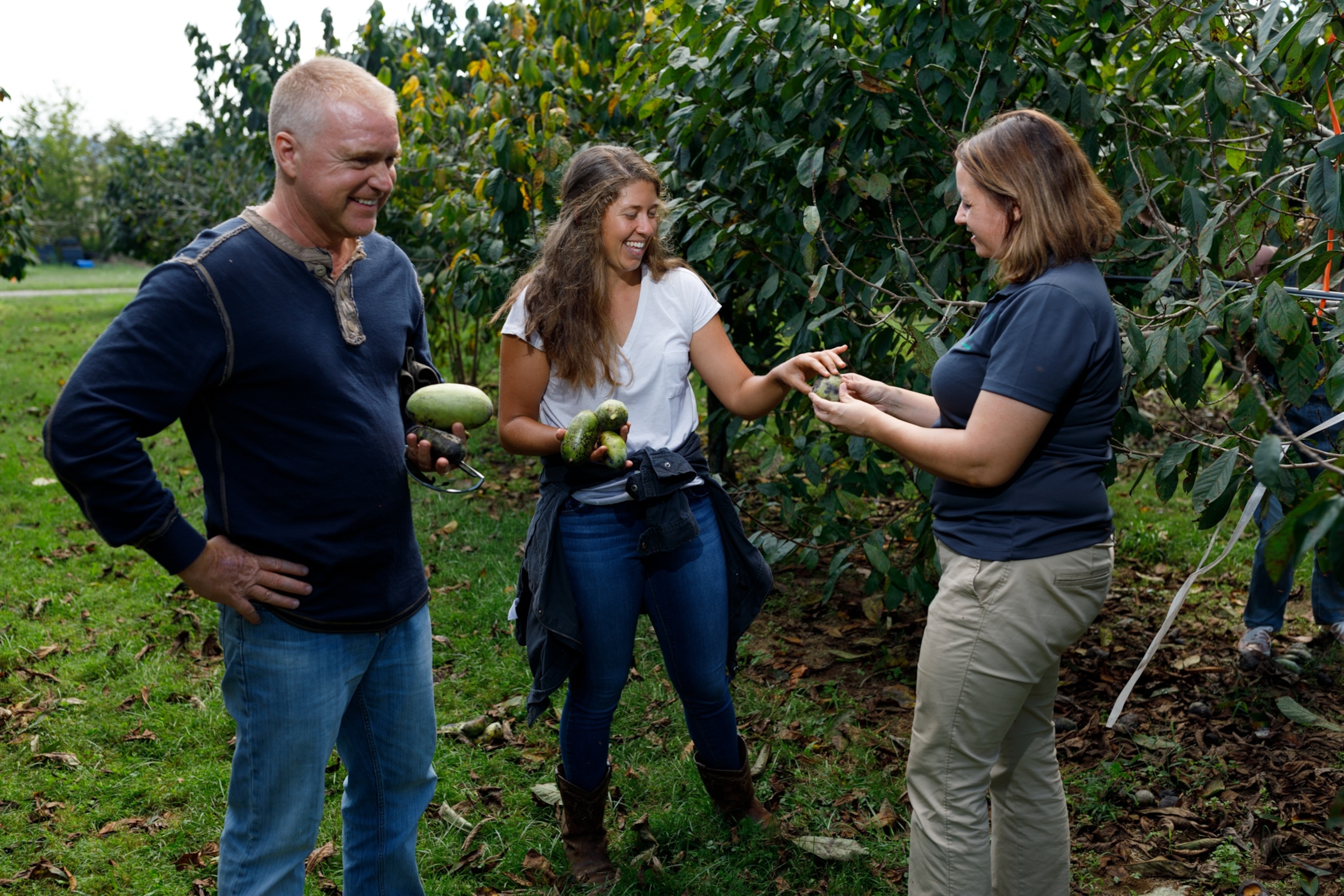 A group of travelers from Florida tour the Highland Pawpaw orchard with Sheri Crabtree as tour guide