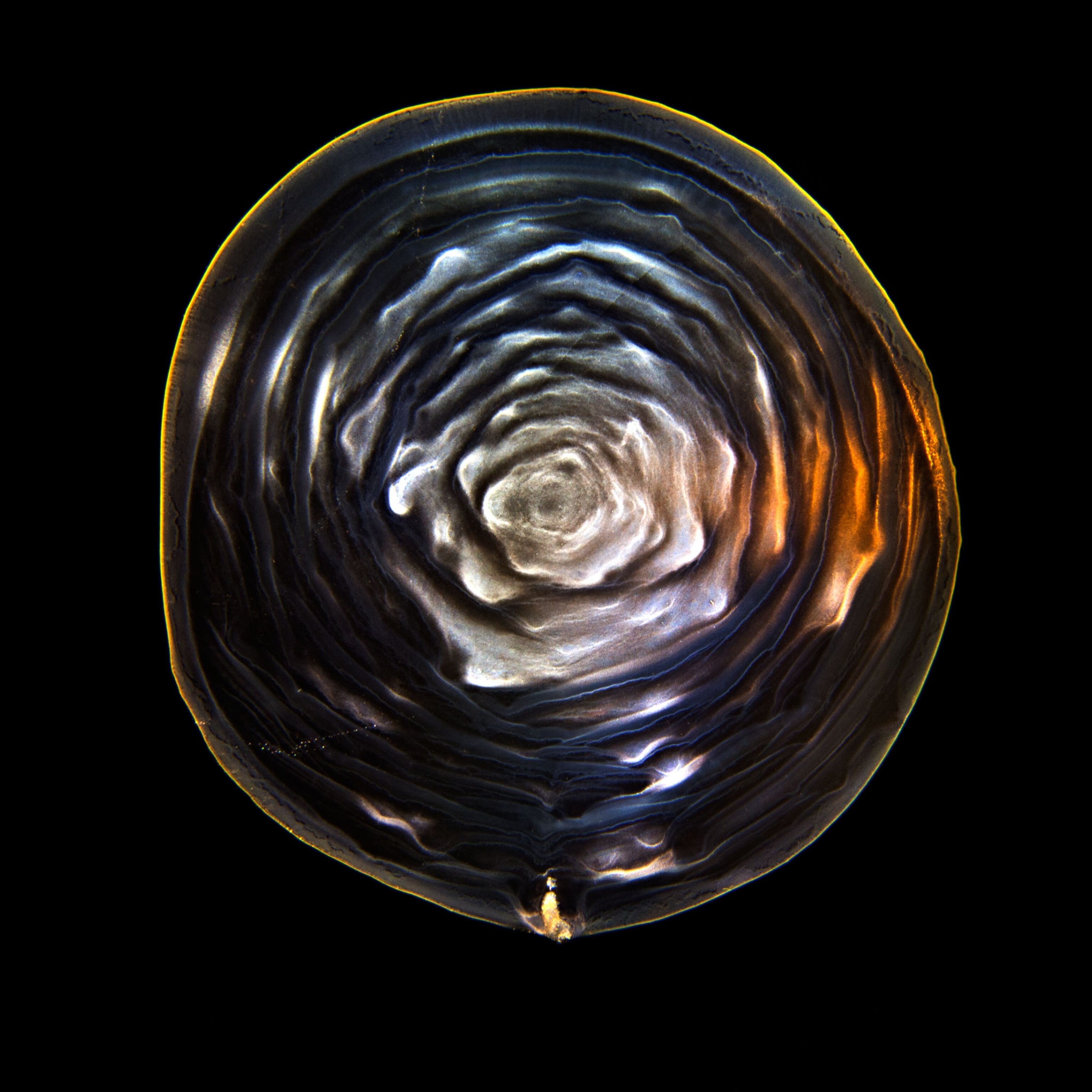 colorful patterns on a black background