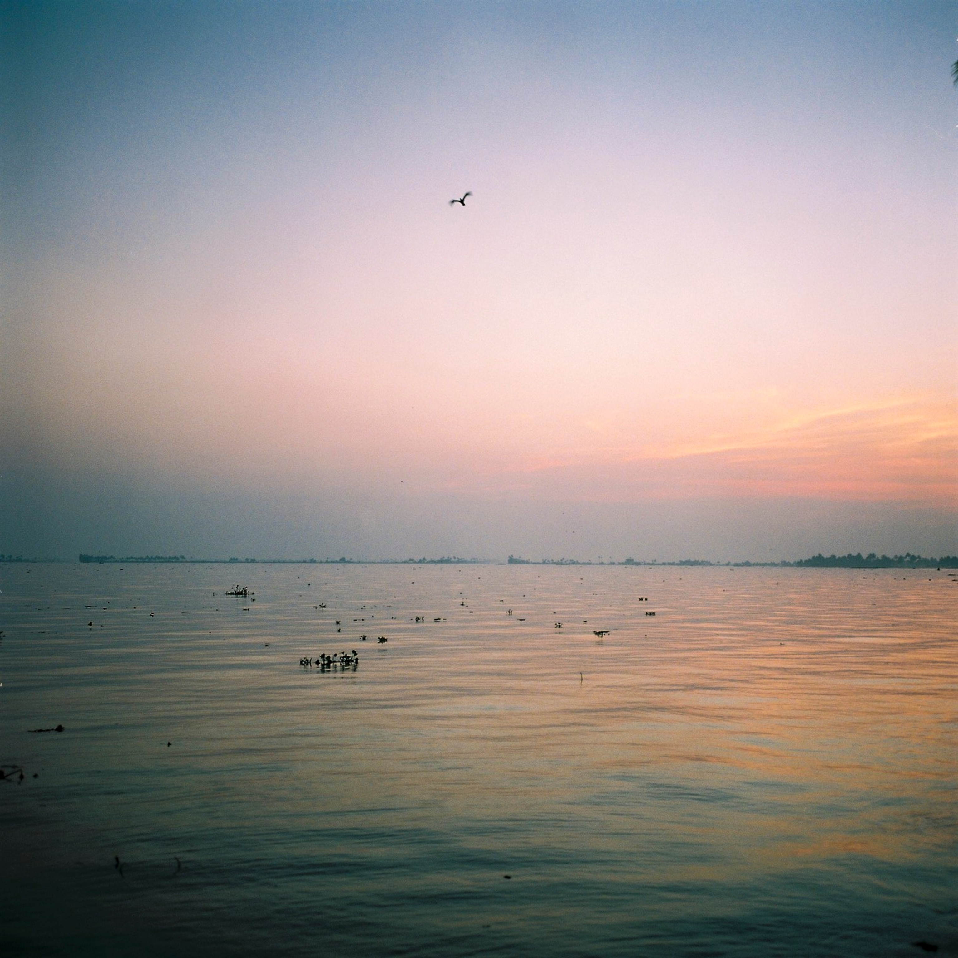 Sunrise around Vembanad lake in Alleppey, Kerala on Nov. 22, 2021.