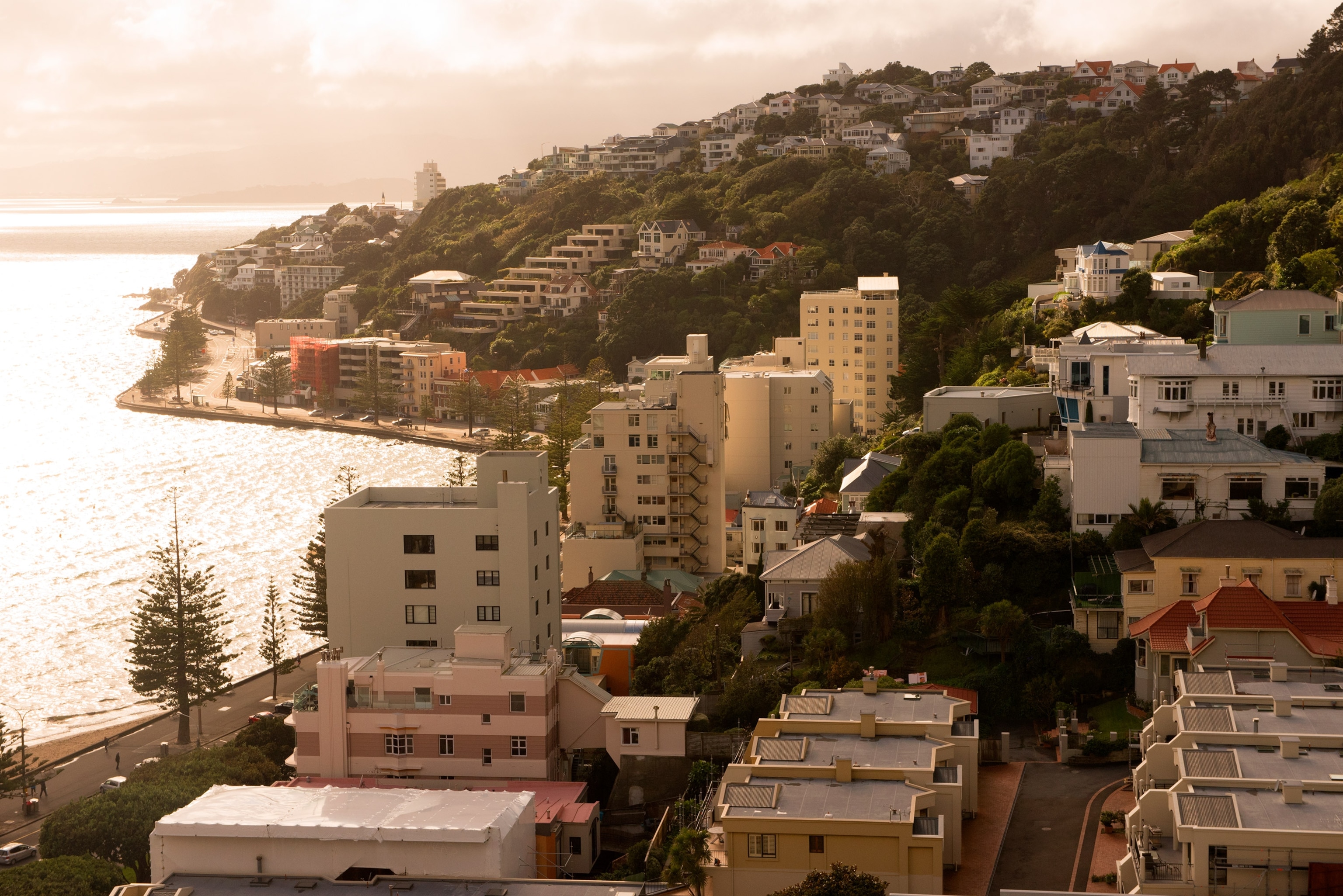 the Mount Victoria neighborhood in Wellington on the North Island of New Zealand