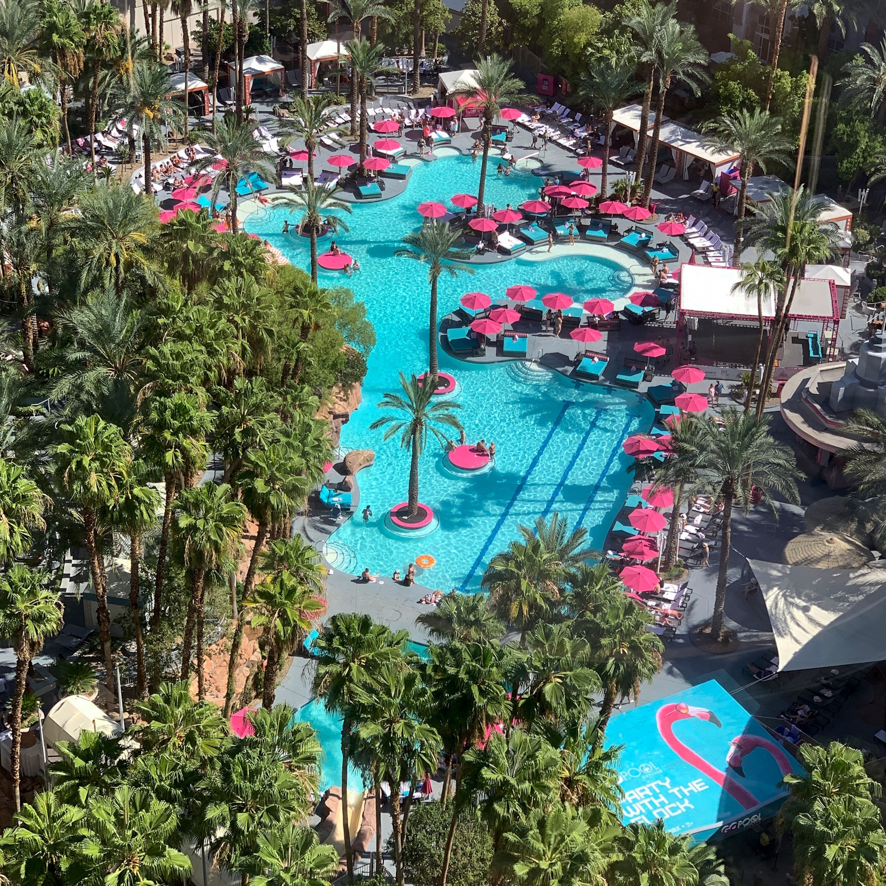 Aerial view of a resort swimming pool with pink umbrellas and palm trees.