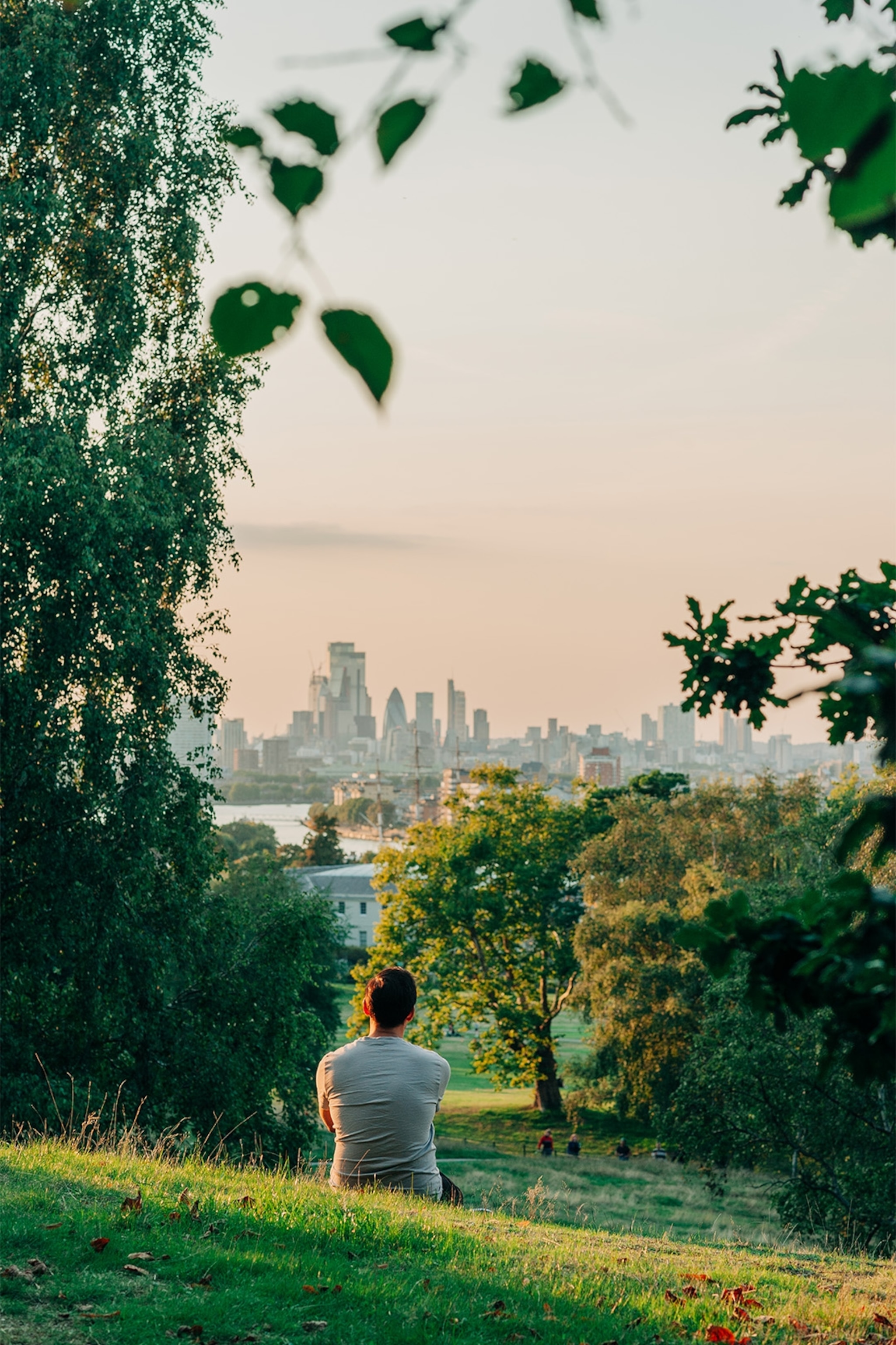 a person sitting in a park