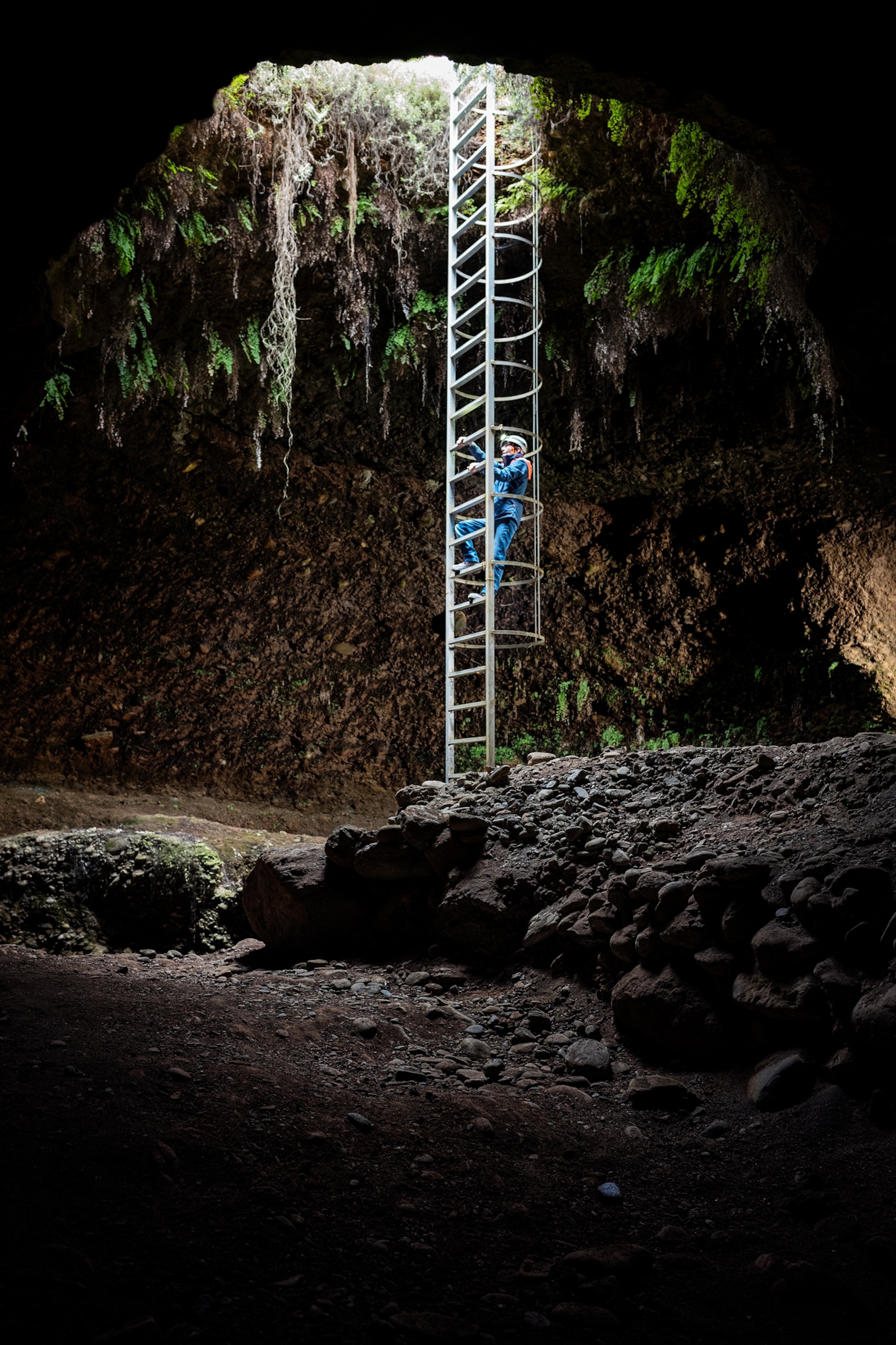 Man in blue overall on the metal ladder going from rocky bottom to the opening above. Ferns and mosses cascading down in the light streaming from outside.