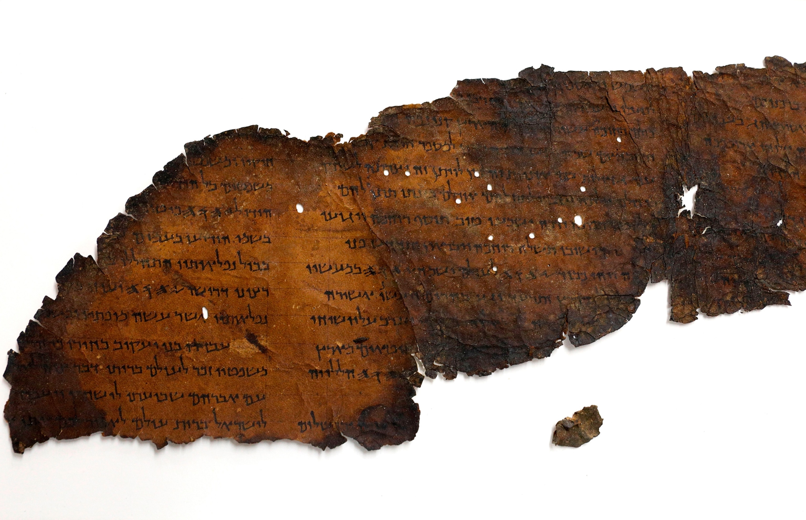 A large fragment of a scroll on a white background.