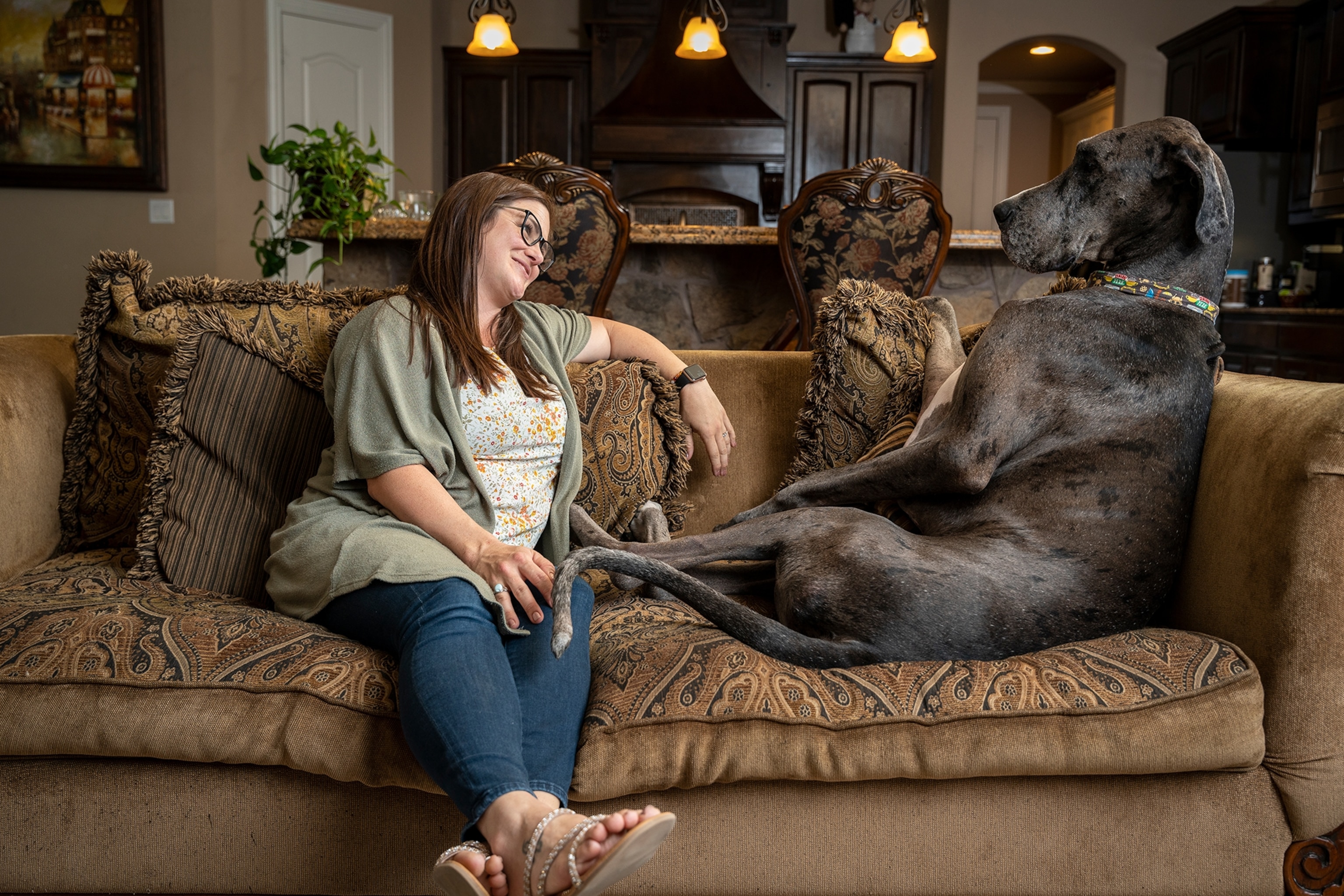A large dog sits on a couch with a woman next to him.